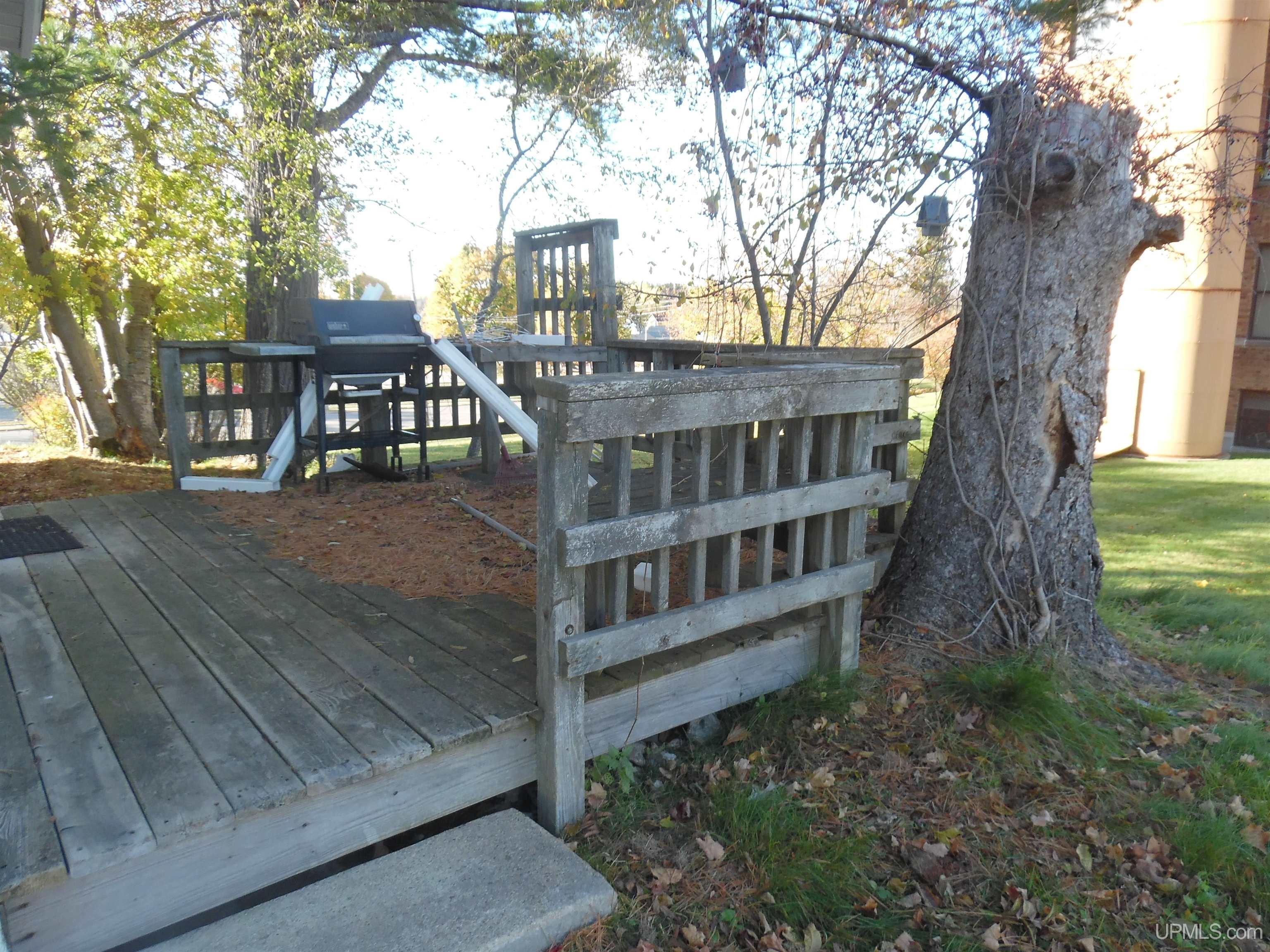 607 Washington Avenue, Iron River, MI, 49935