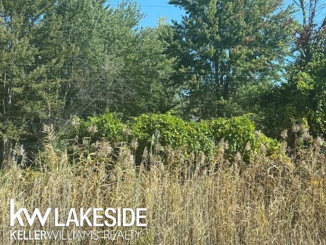 Homes for sale in Chesterfield Twp, MI | 0 21 Mile Rd, Chesterfield Twp, MI 48047 | MLS# 50198198