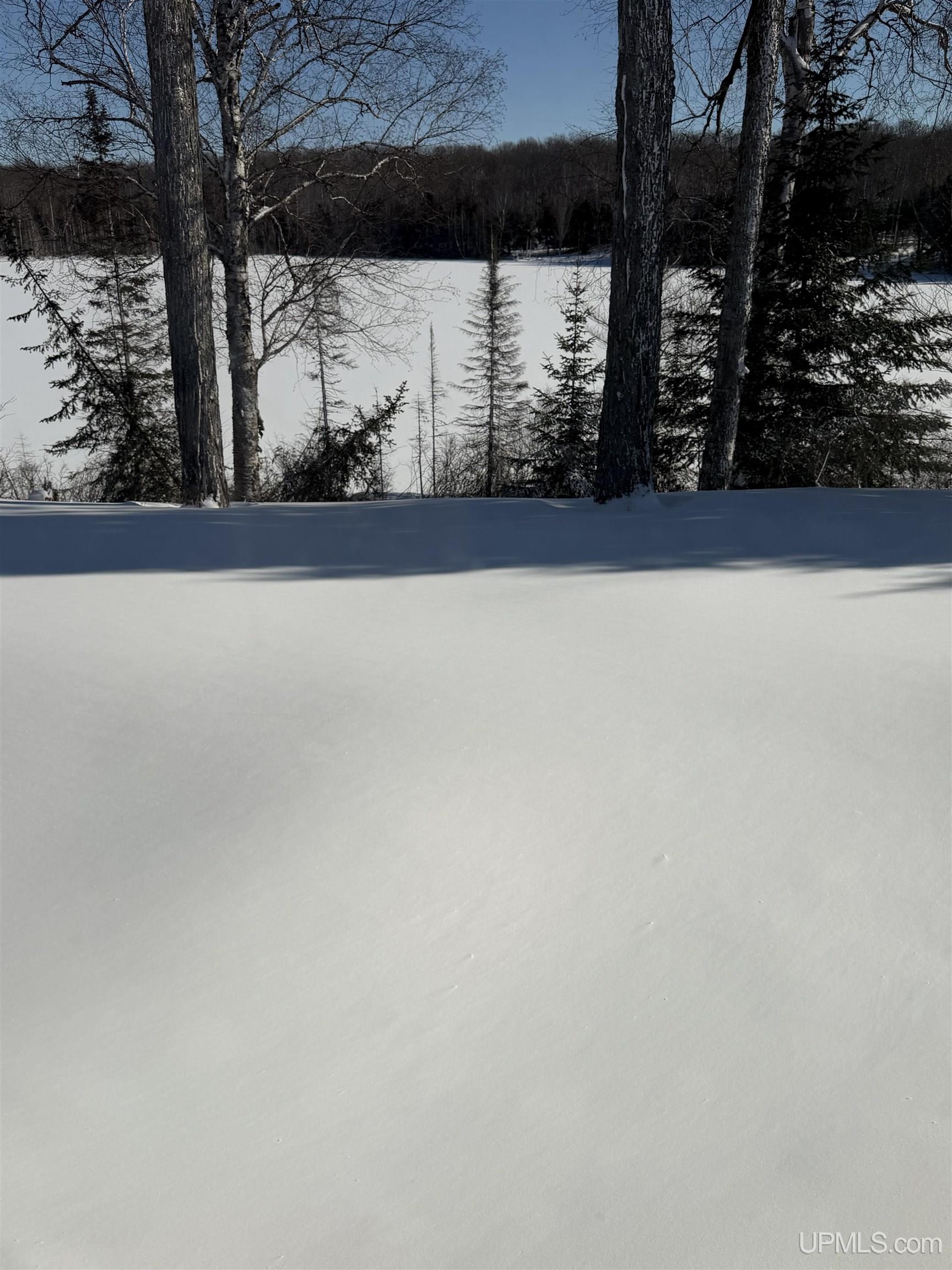 7035 W County 448 Road, Manistique, MI, 49854