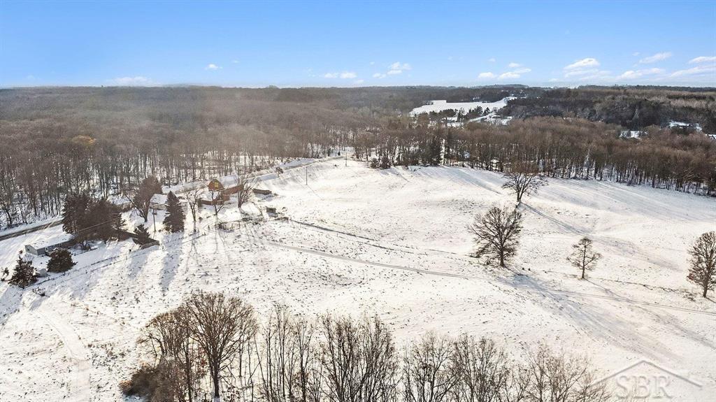 11851 N Crystal Road, Vestaburg, MI, 48891