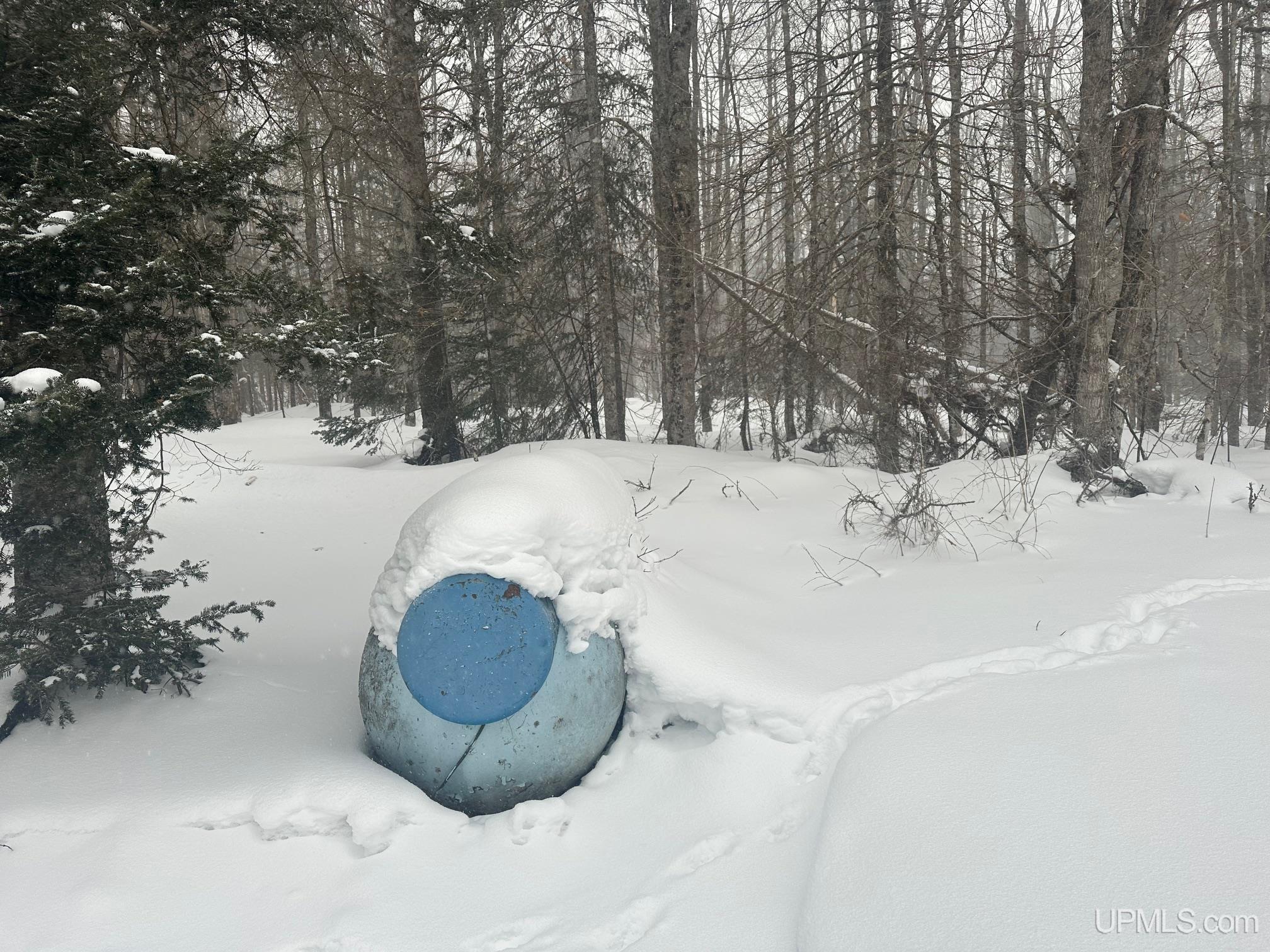 Homes for sale in Deerton, MI | 1468 Karvonen Rd, Deerton, MI 49822 | MLS# 50198381