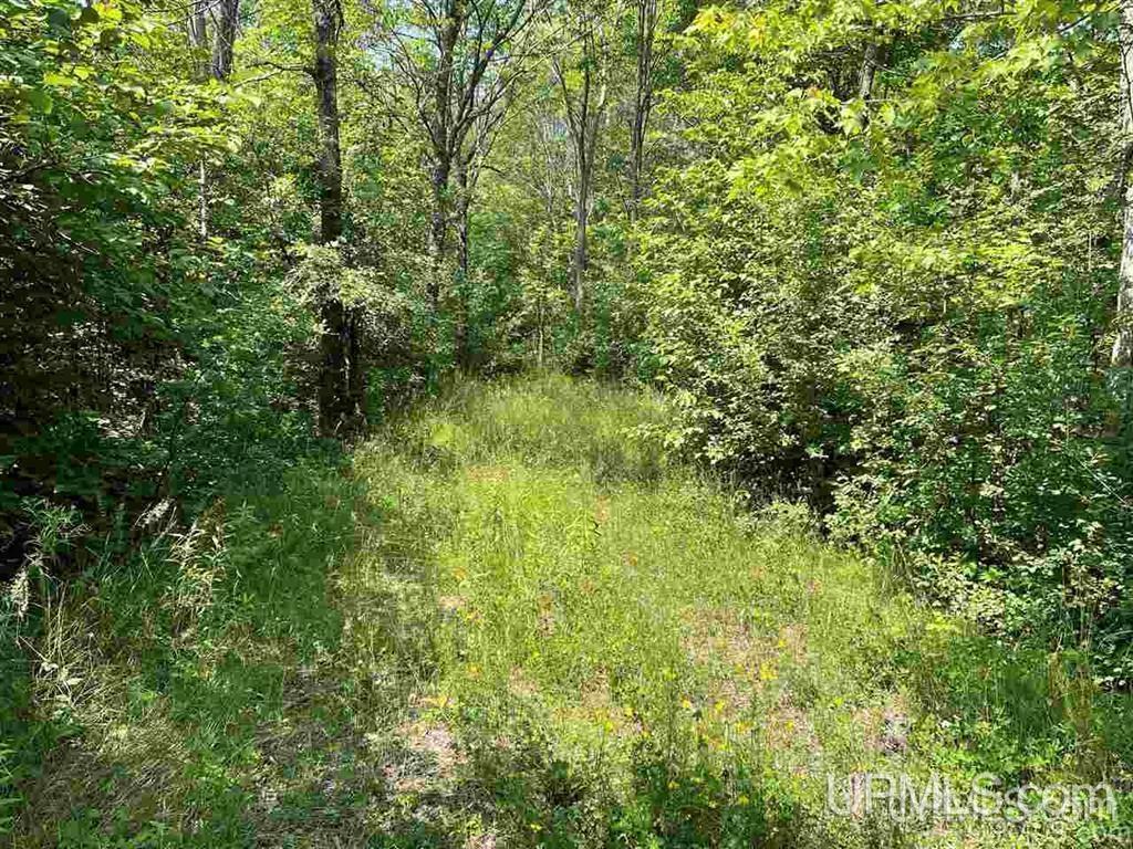 Homes for sale in Hurley C Wi, WI | 14455 N State Line Rd, Hurley C Wi, WI 54534 | MLS# 50198430