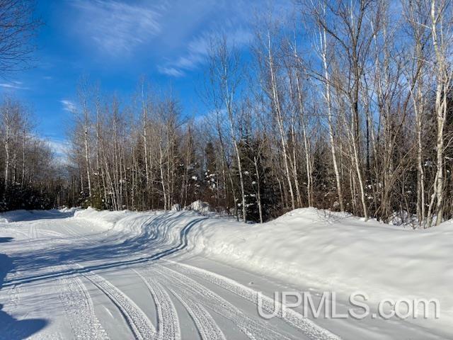 Homes for sale in Ishpeming, MI | 5586 N Shore Helen Lake Rd, Ishpeming, MI 49849 | MLS# 50198450