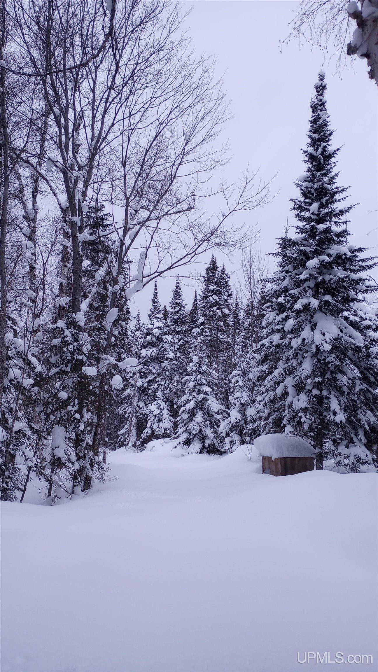 00 E County Road H58 Road, Grand Marais, MI, 49839