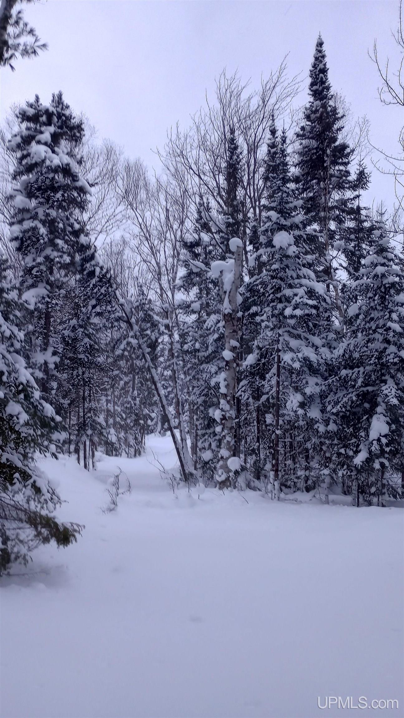 00 E County Road H58 Road, Grand Marais, MI, 49839