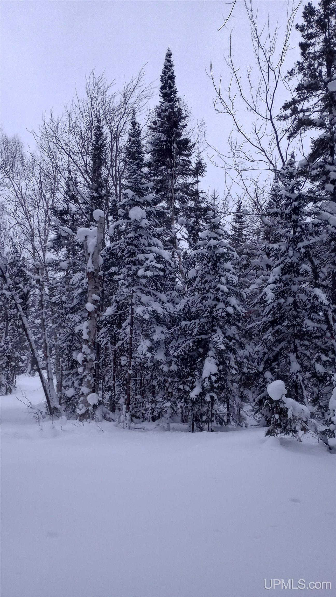 00 E County Road H58 Road, Grand Marais, MI, 49839