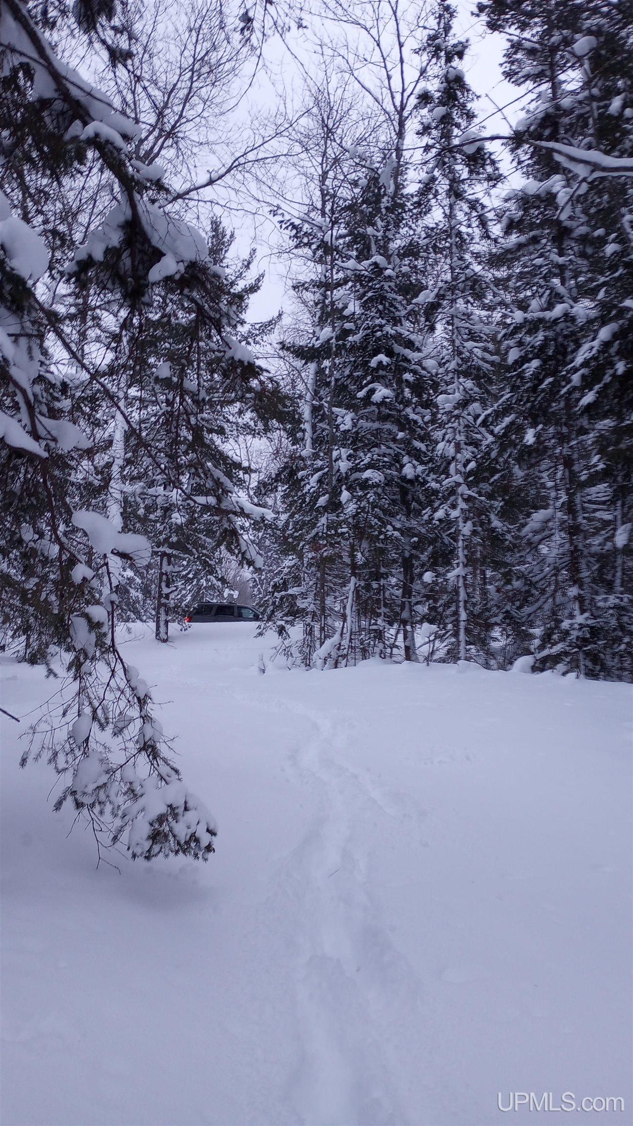 00 E County Road H58 Road, Grand Marais, MI, 49839