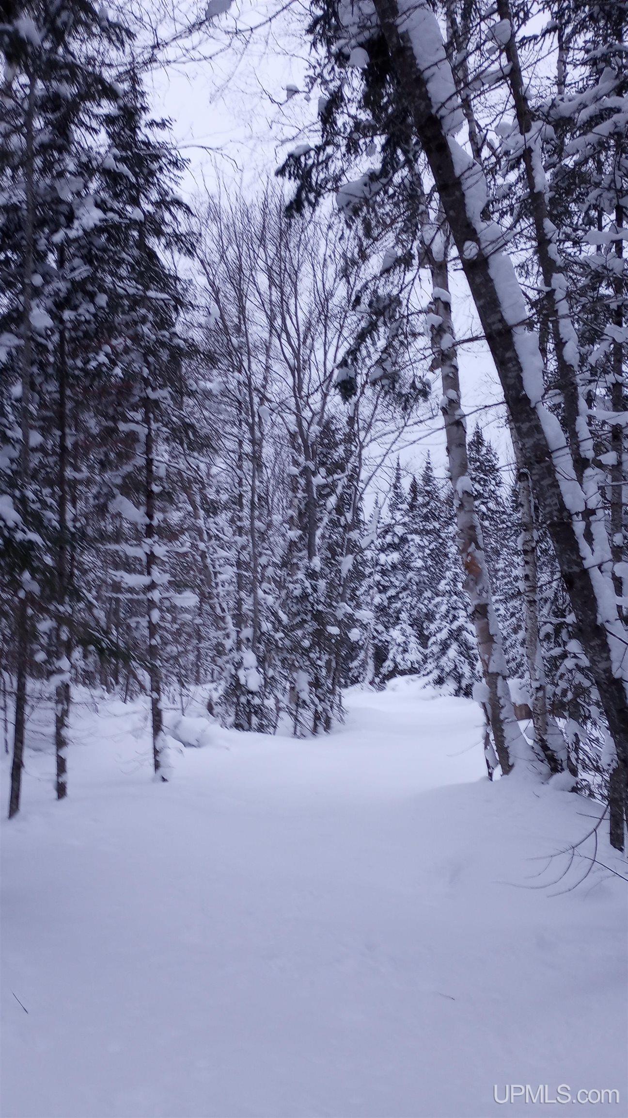 00 E County Road H58 Road, Grand Marais, MI, 49839