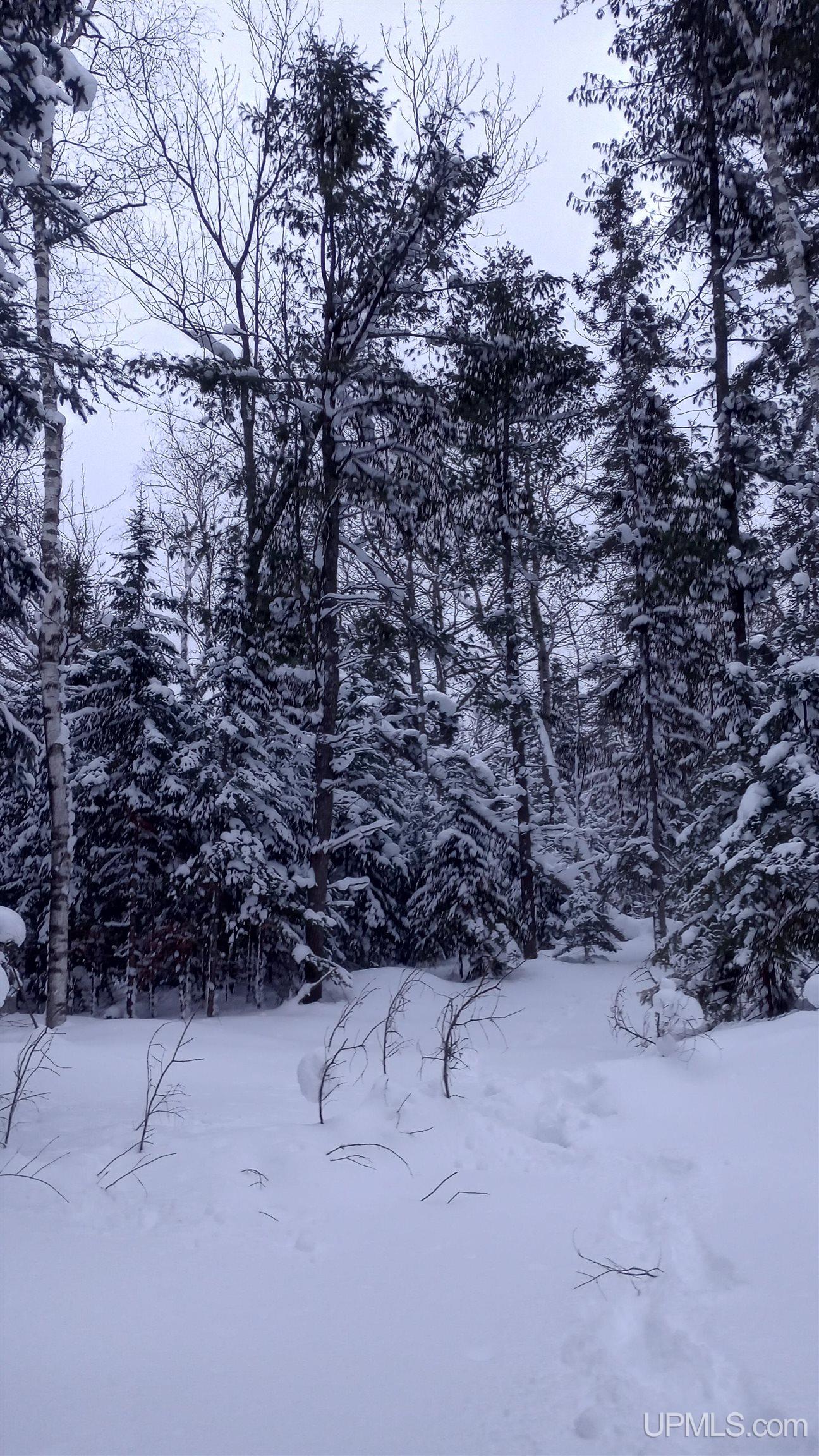 00 E County Road H58 Road, Grand Marais, MI, 49839