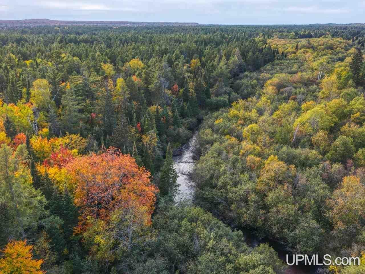 Homes for sale in Grand Marais, MI | 00 E County Road H58 Road, Grand Marais, MI 49839 | MLS# 50198471