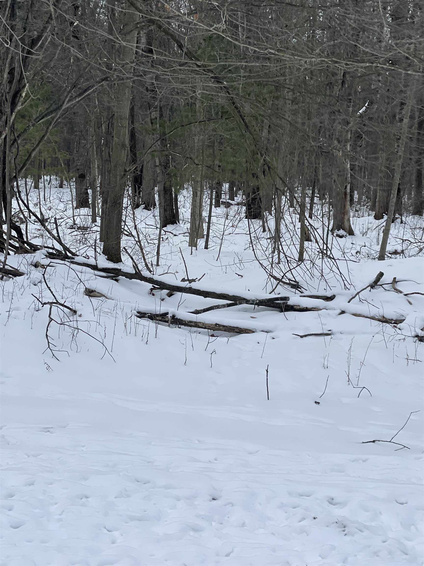 0 Mallison Avenue, Flint, MI, 48532