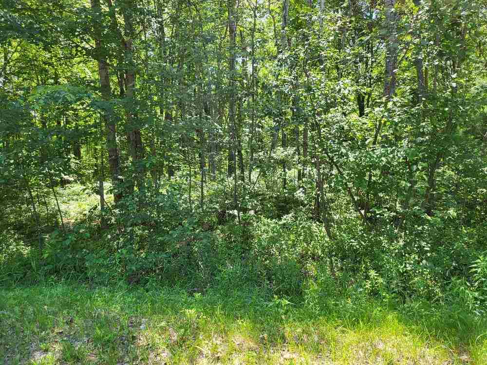 Lot 69 Pineway Drive photo 2