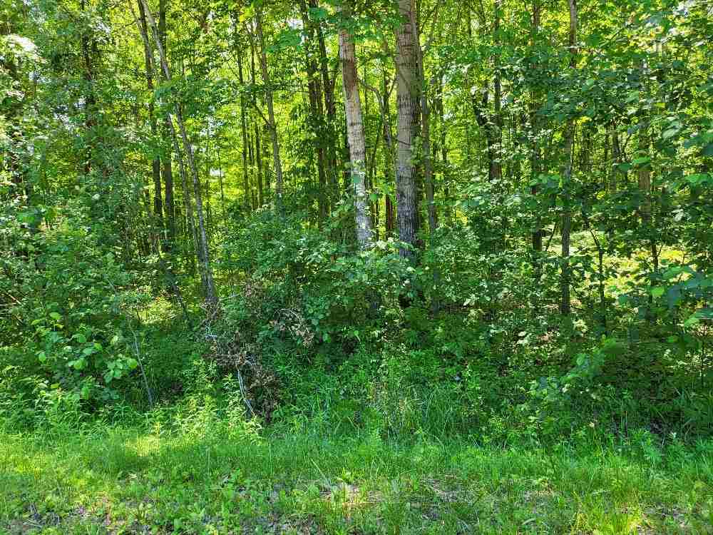 Lot 69 Pineway Drive photo 3