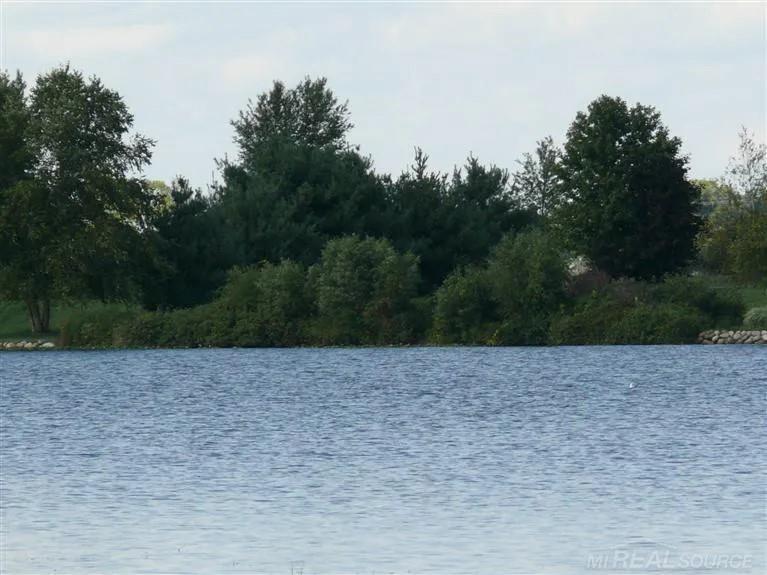 25455 Island View Lane photo 6