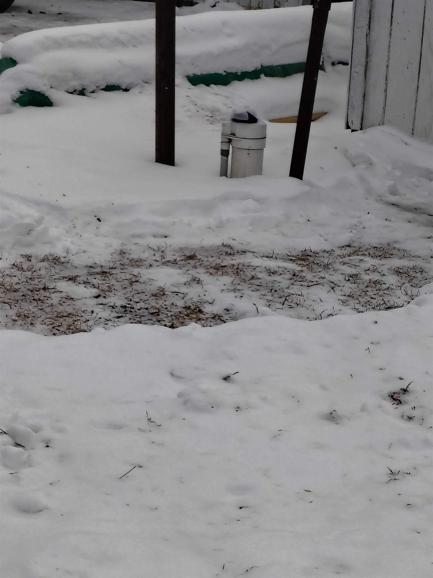 4705 Waltan Road, Vassar, MI, 48768