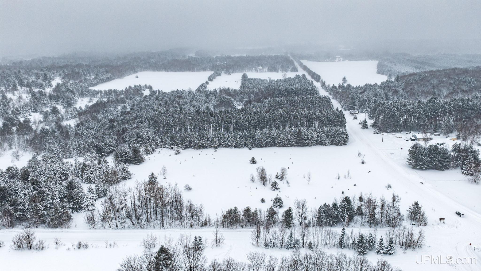 Homes for sale in Atlantic Mine, MI | Parcel D Puuri Rd, Atlantic Mine, MI 49905 | MLS# 50198853