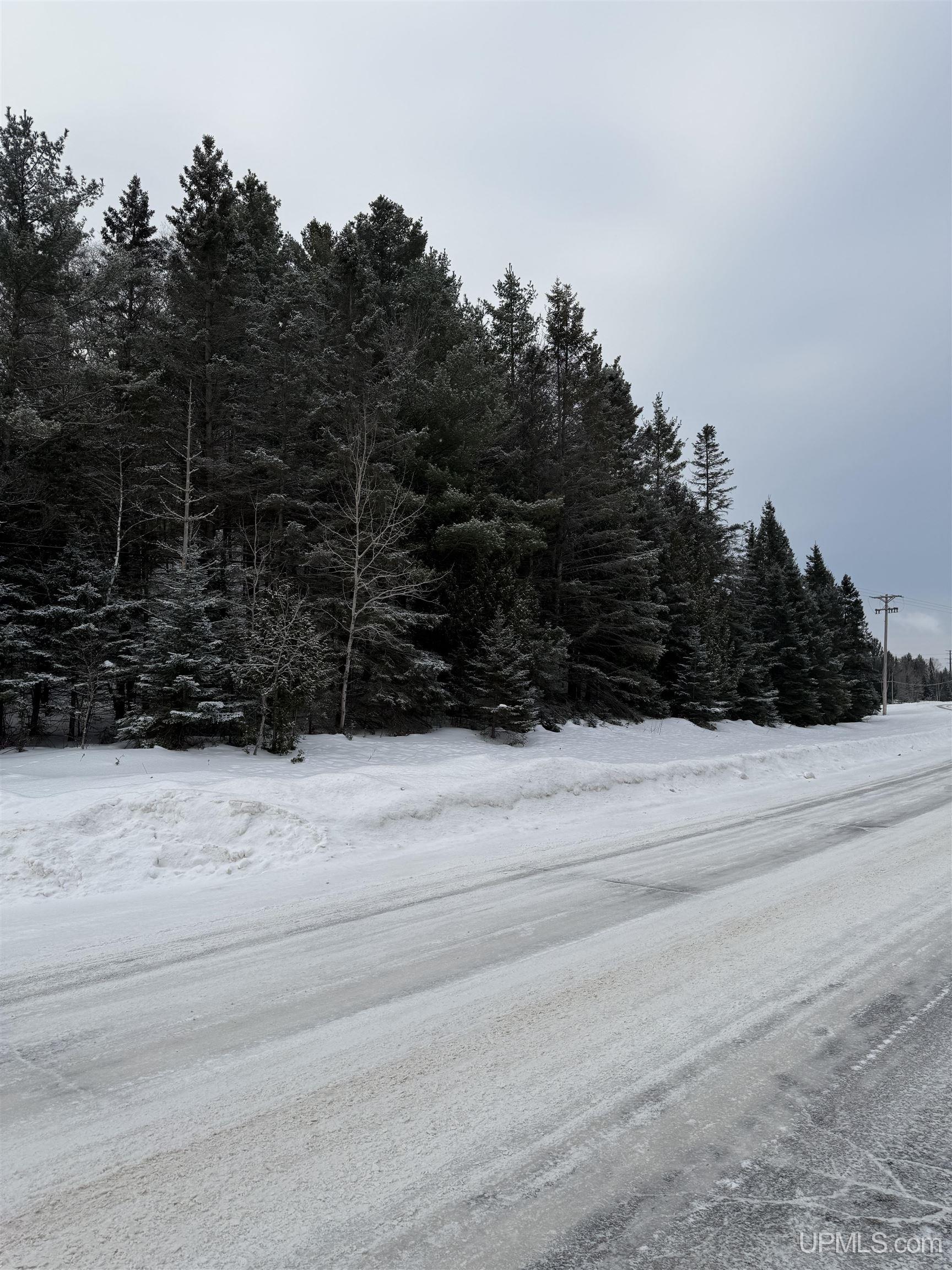 Homes for sale in Manistique, MI | Tbd Tannery Rd, Manistique, MI 49854 | MLS# 50198882