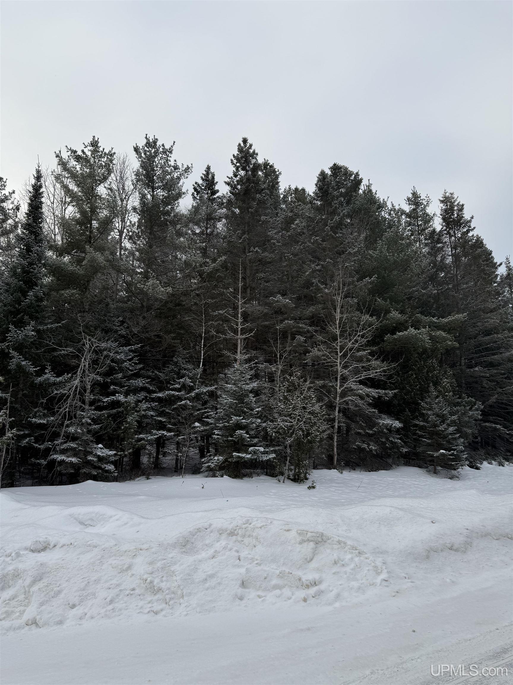 Homes for sale in Manistique, MI | Tbd Tannery Rd, Manistique, MI 49854 | MLS# 50198882