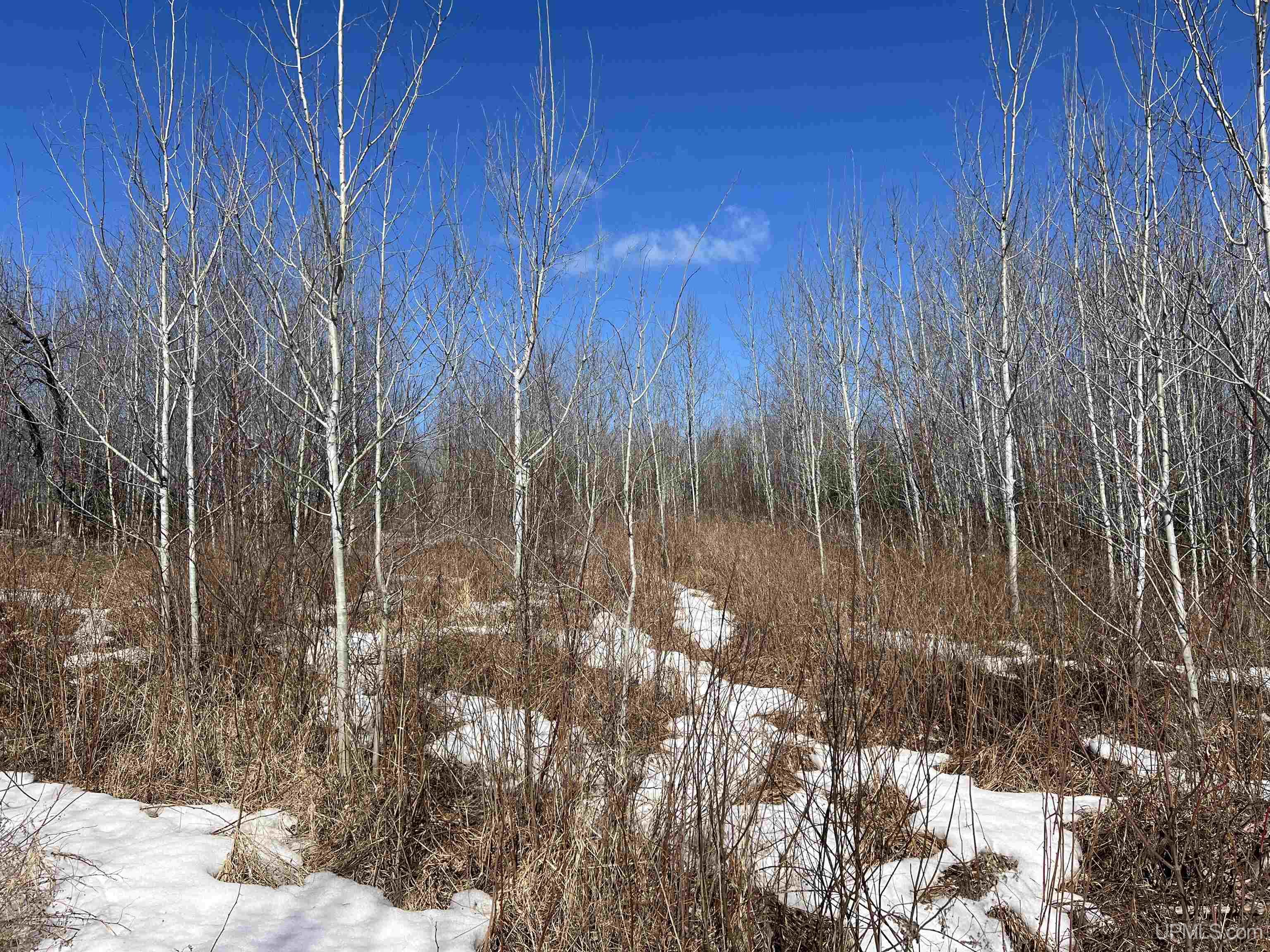 TBD Nordstrom Road, Iron River, MI, 49935