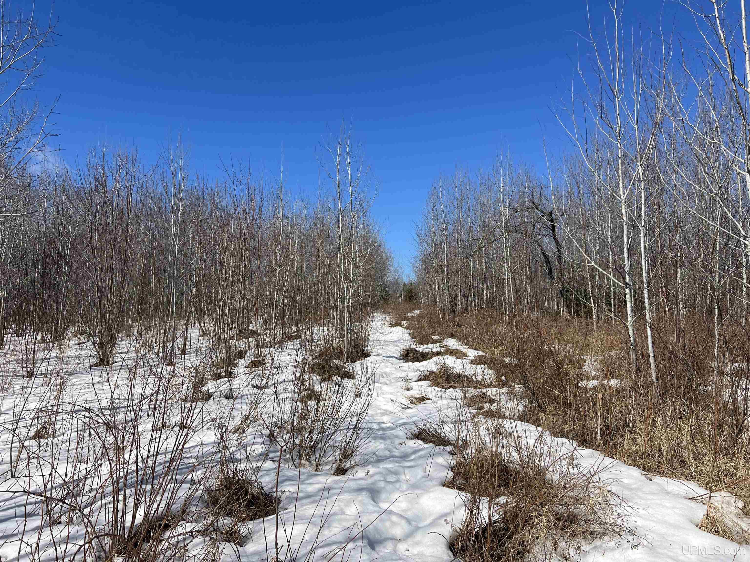 TBD Nordstrom Road, Iron River, MI, 49935