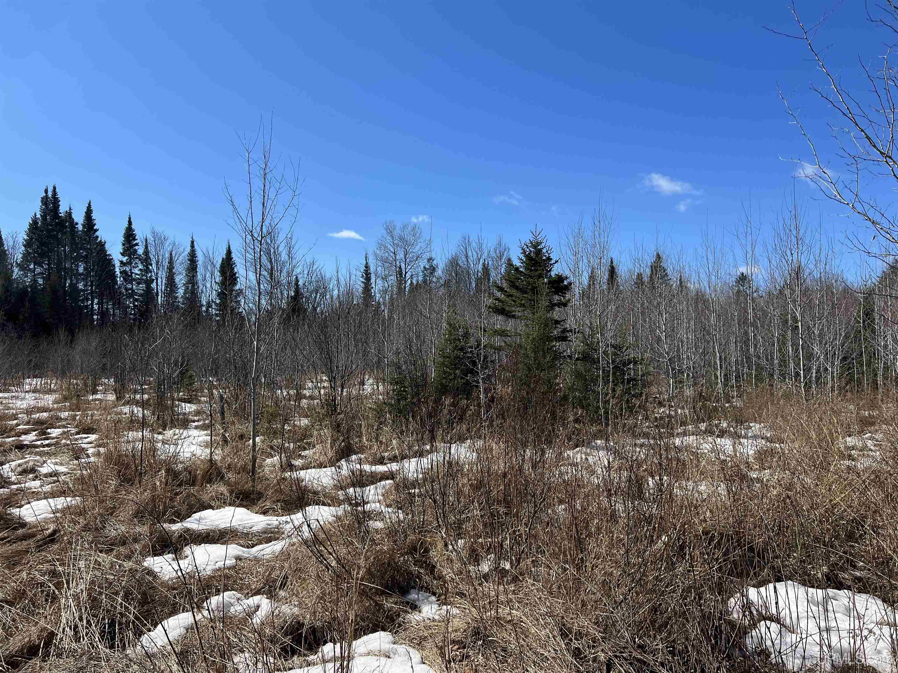 TBD Nordstrom Road, Iron River, MI, 49935