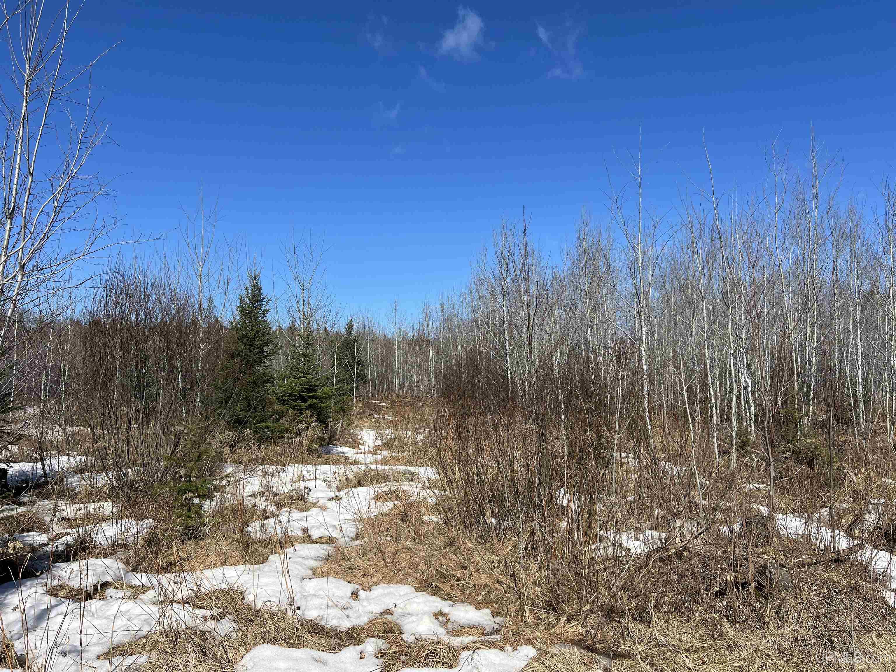 TBD Nordstrom Road, Iron River, MI, 49935