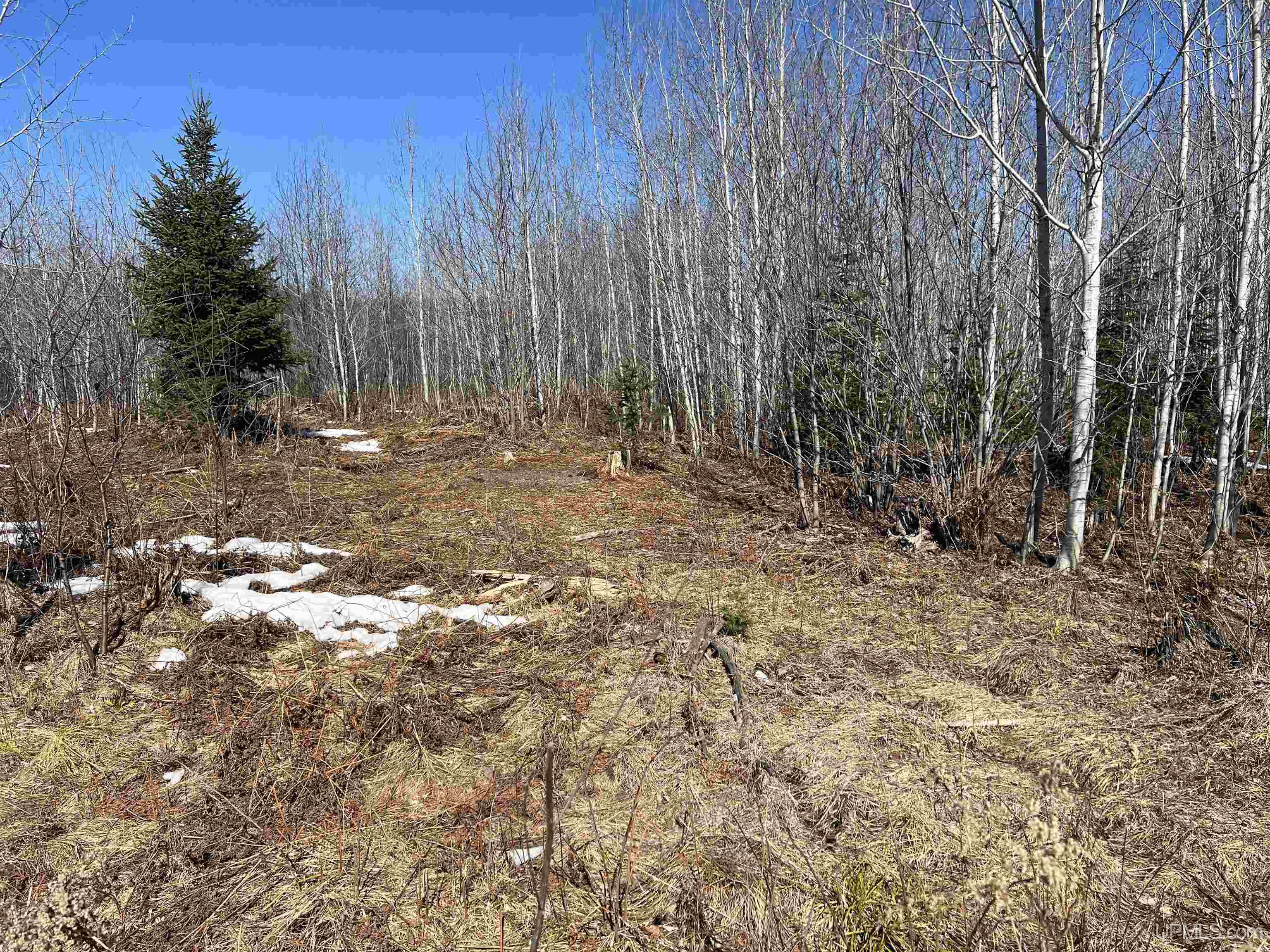 TBD Nordstrom Road, Iron River, MI, 49935