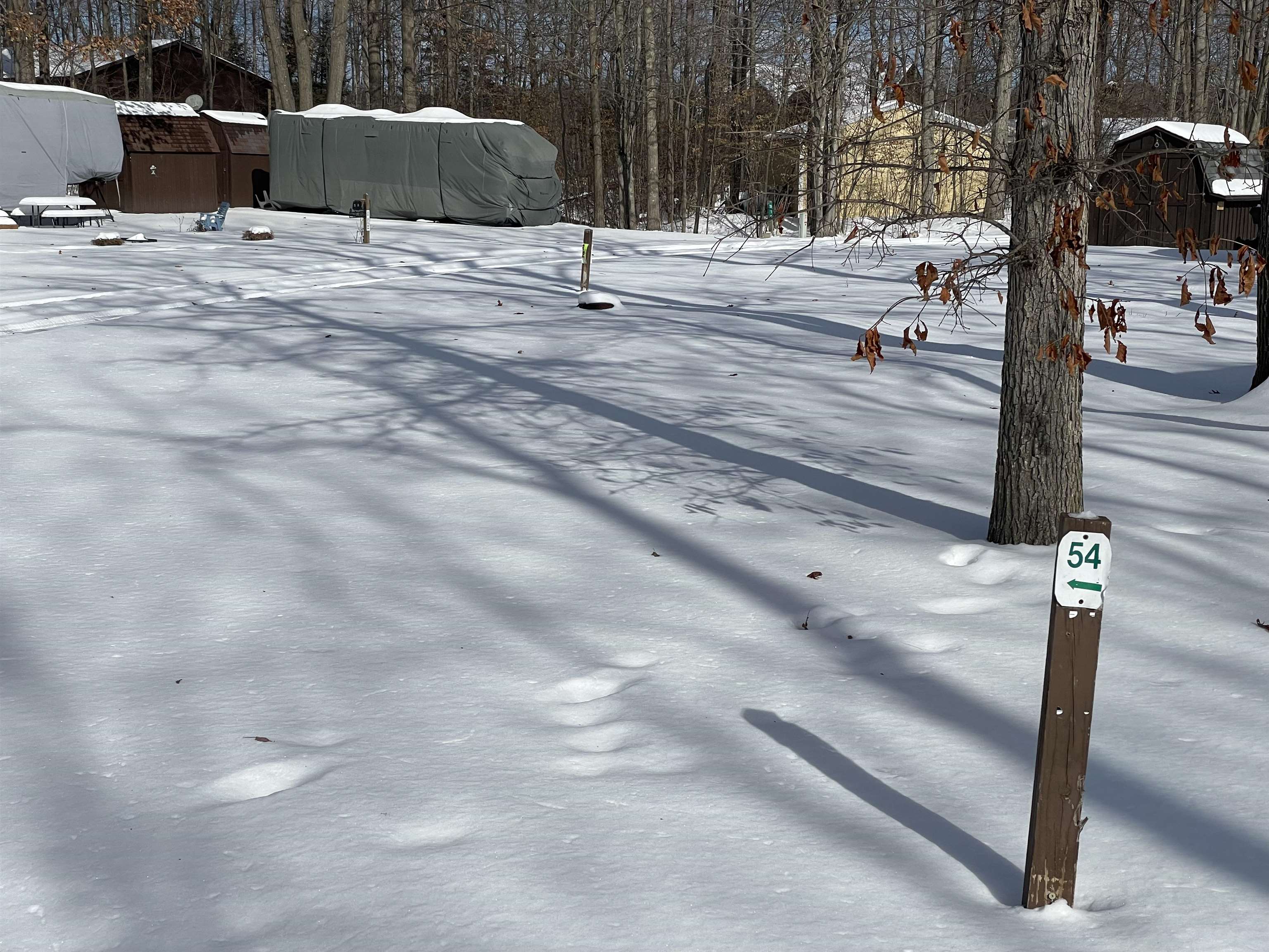 978 Timberlynn Trail Road, Sanford, MI, 48657