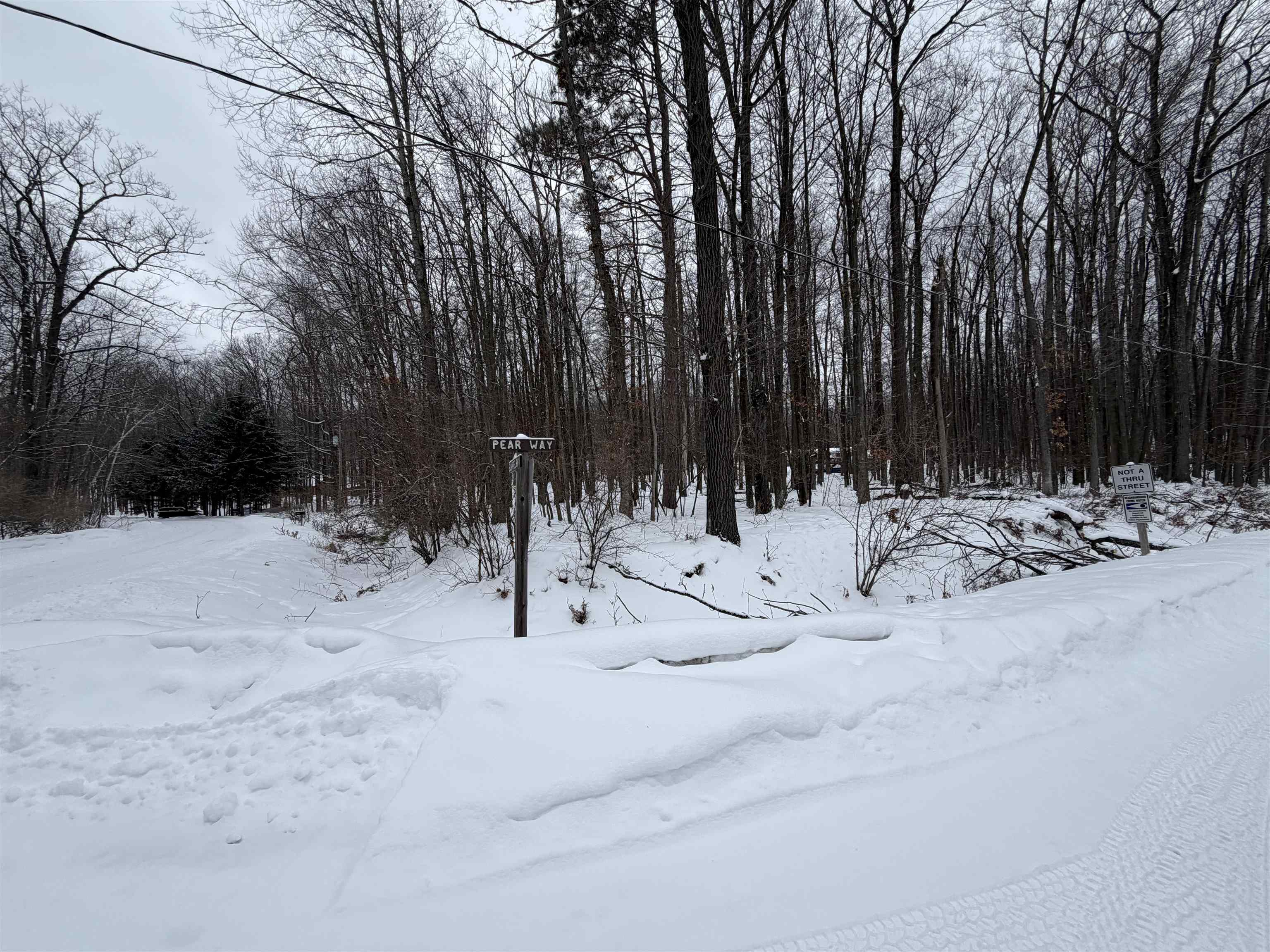 Lot UNIT&nbsp;40 Squirrel Run Road, Farwell, MI, 48622