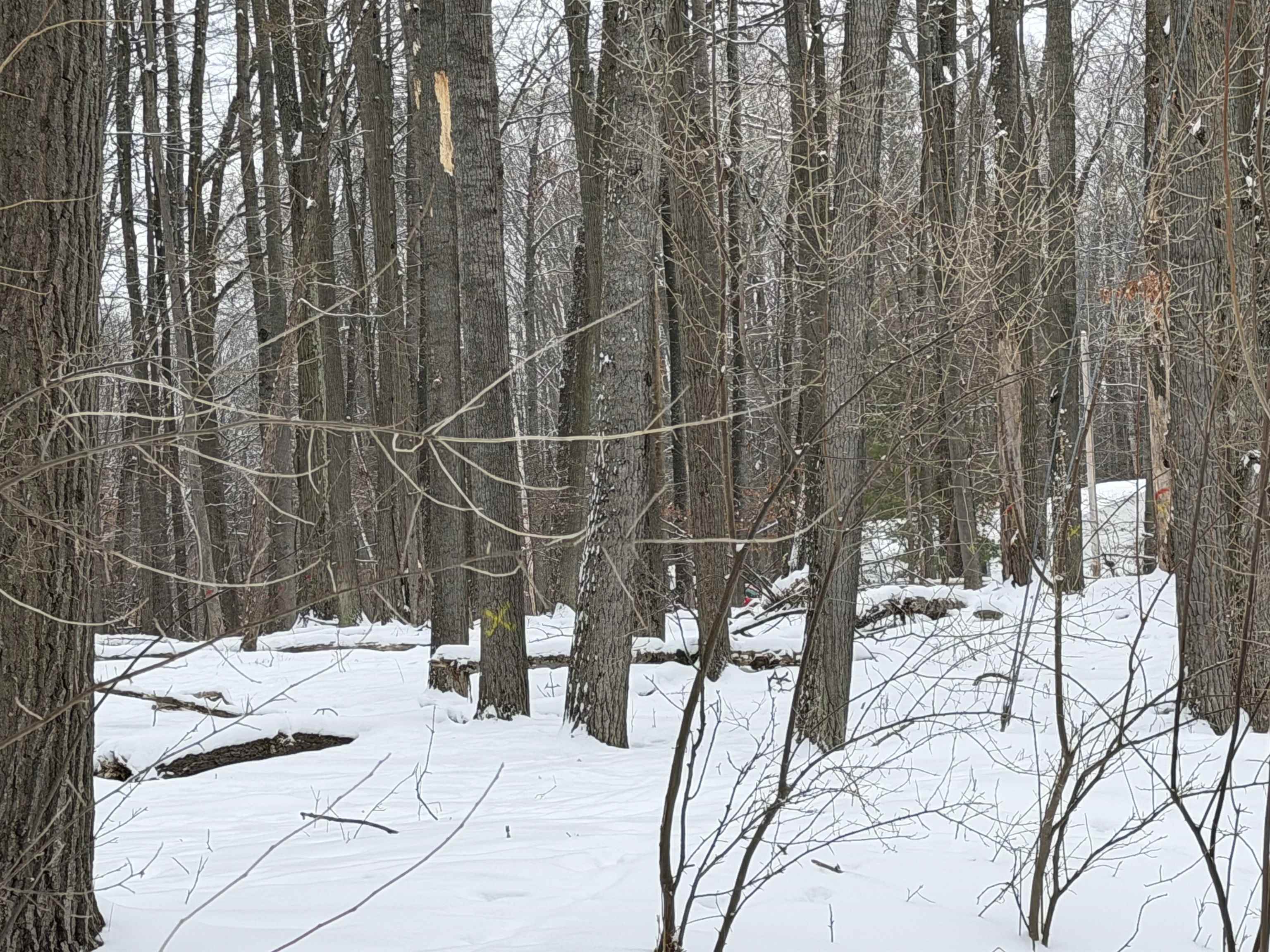 Lot UNIT&nbsp;40 Squirrel Run Road, Farwell, MI, 48622