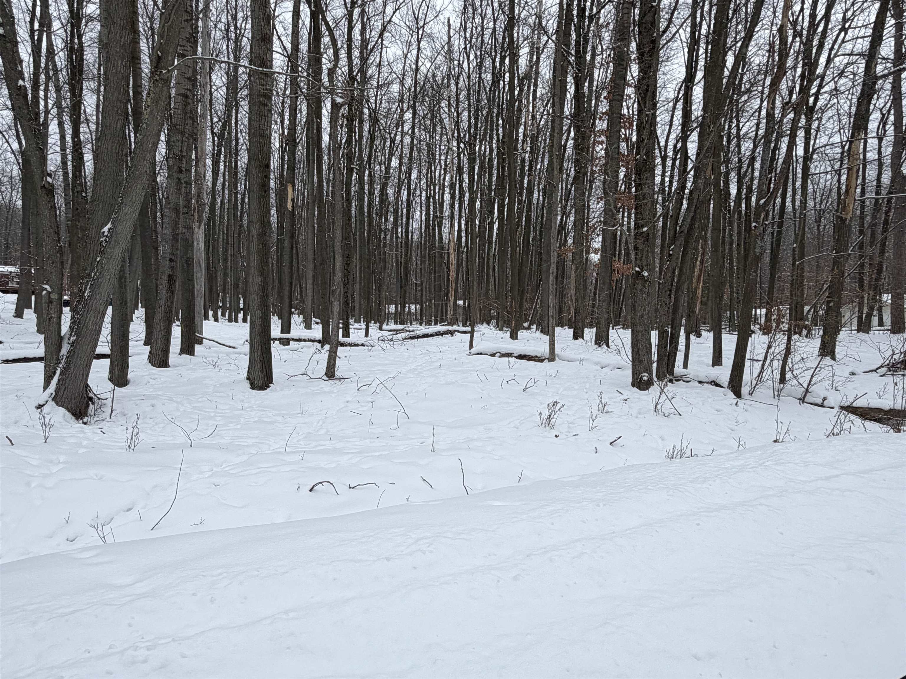 Lot UNIT&nbsp;40 Squirrel Run Road, Farwell, MI, 48622