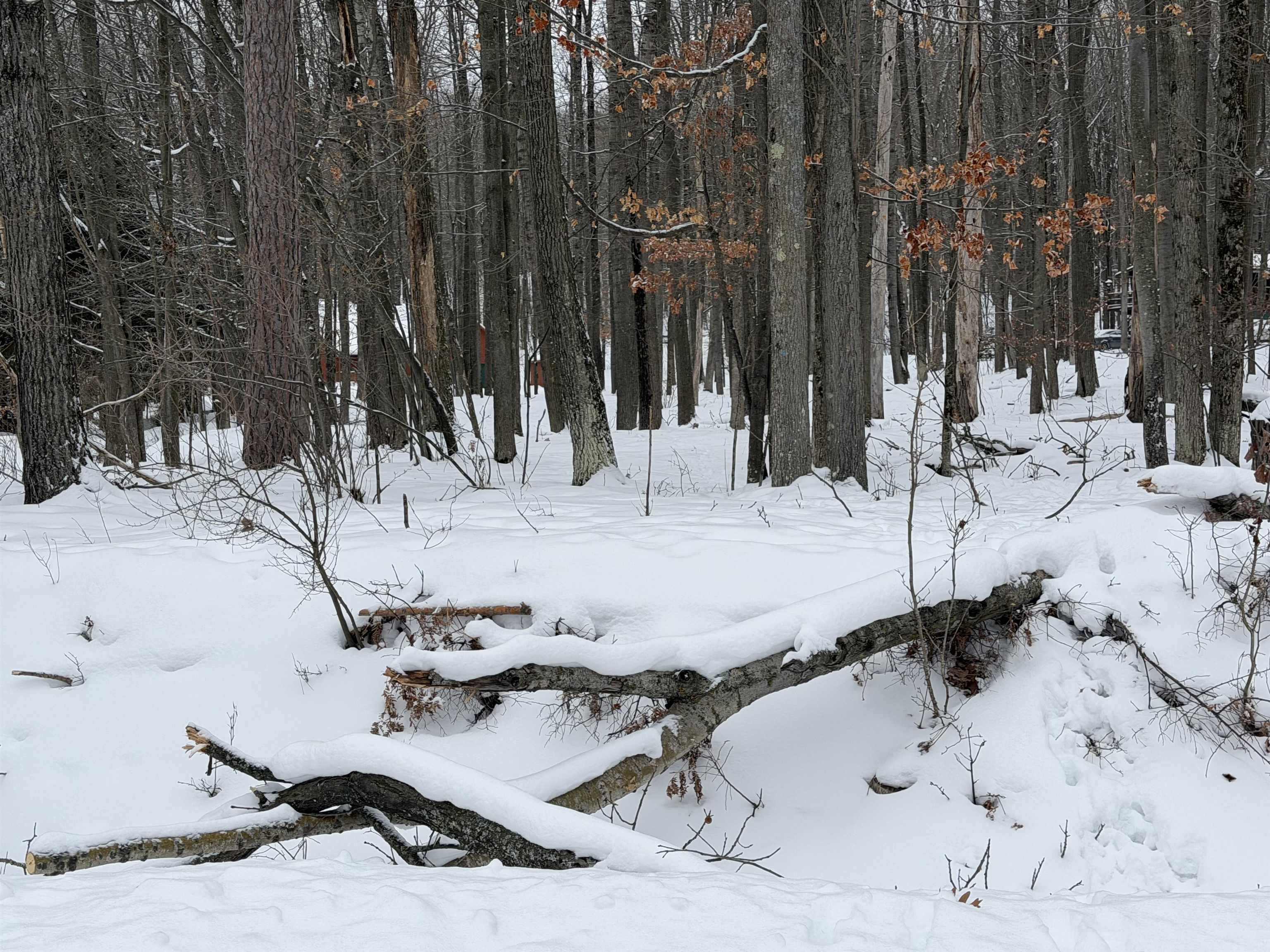 Lot UNIT&nbsp;40 Squirrel Run Road, Farwell, MI, 48622