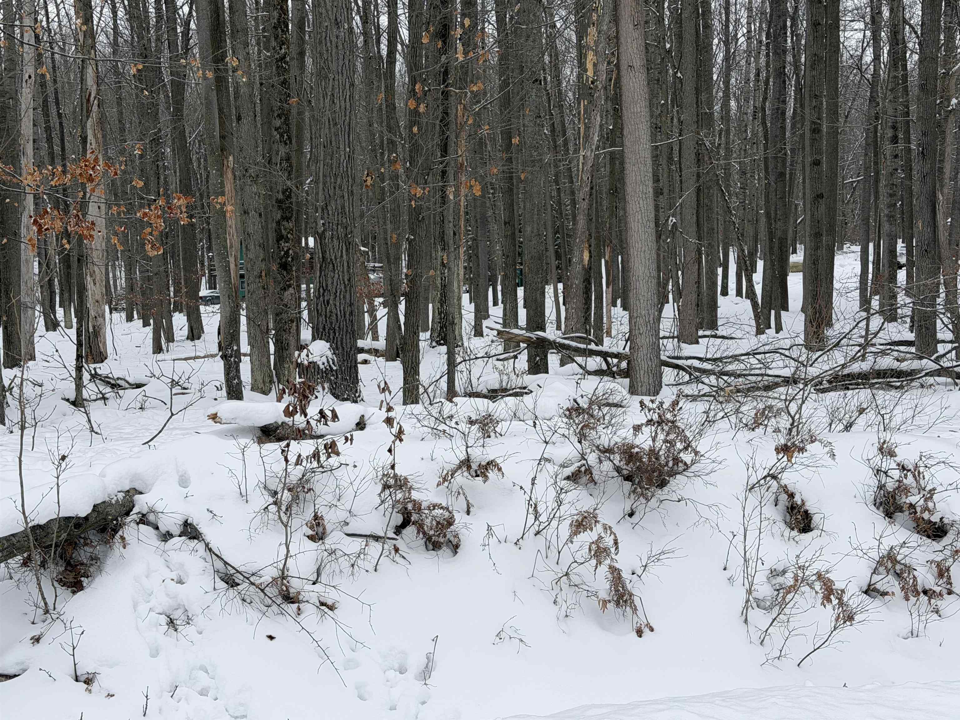 Lot UNIT&nbsp;40 Squirrel Run Road, Farwell, MI, 48622