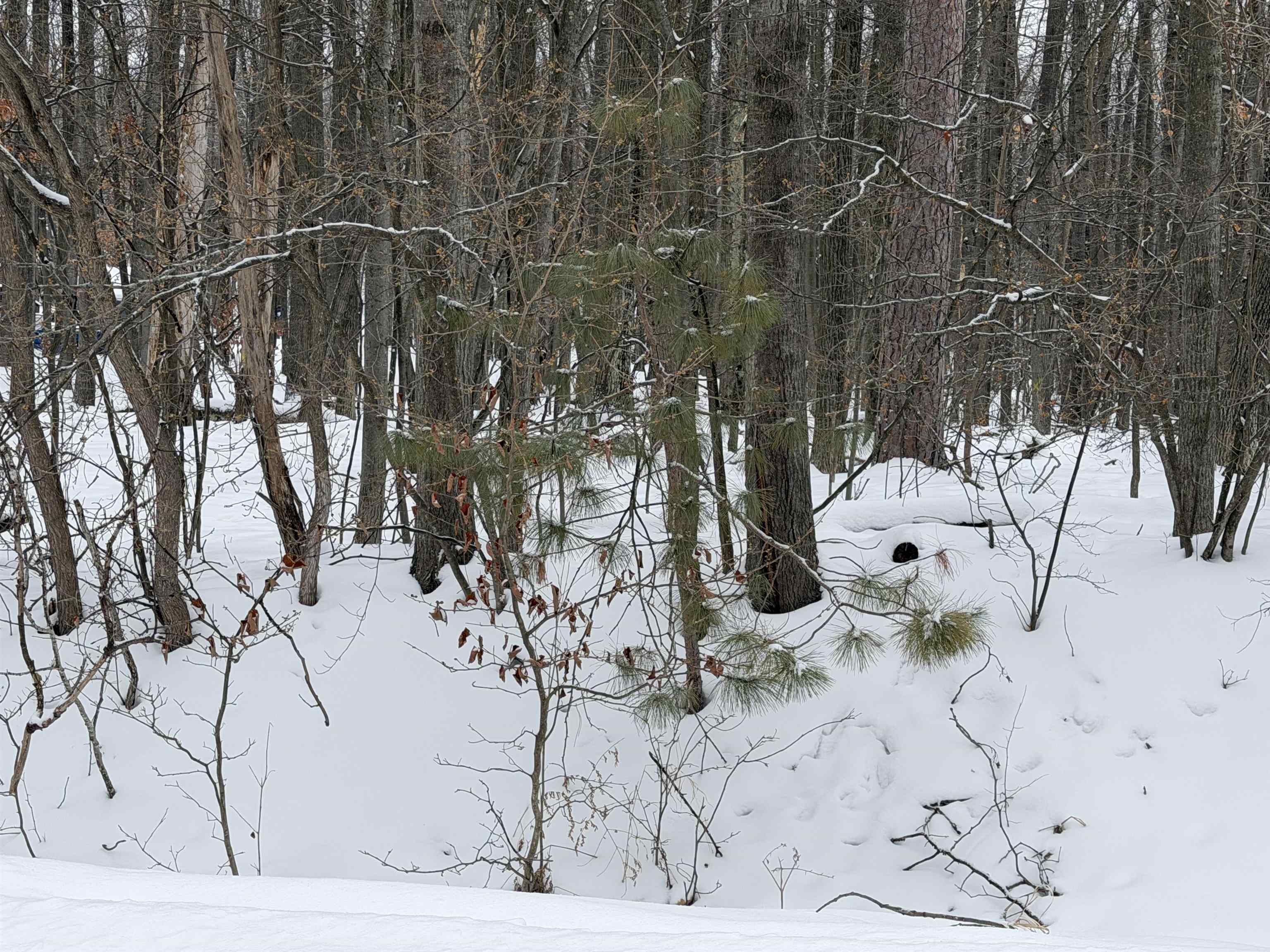 Lot UNIT&nbsp;40 Squirrel Run Road, Farwell, MI, 48622