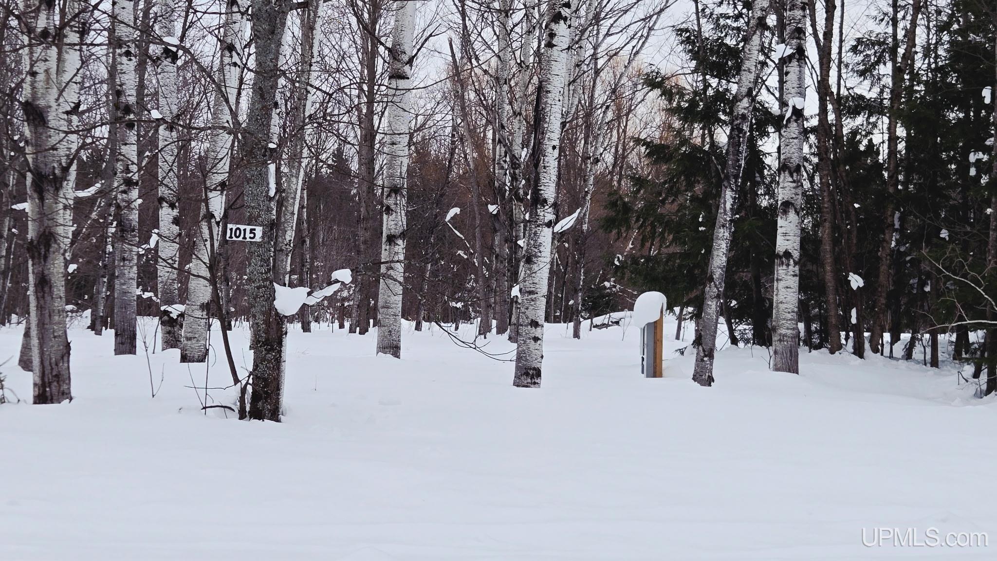 Homes for sale in White Pine, MI | Tbd Michigan Ave, White Pine, MI 49971 | MLS# 50199102