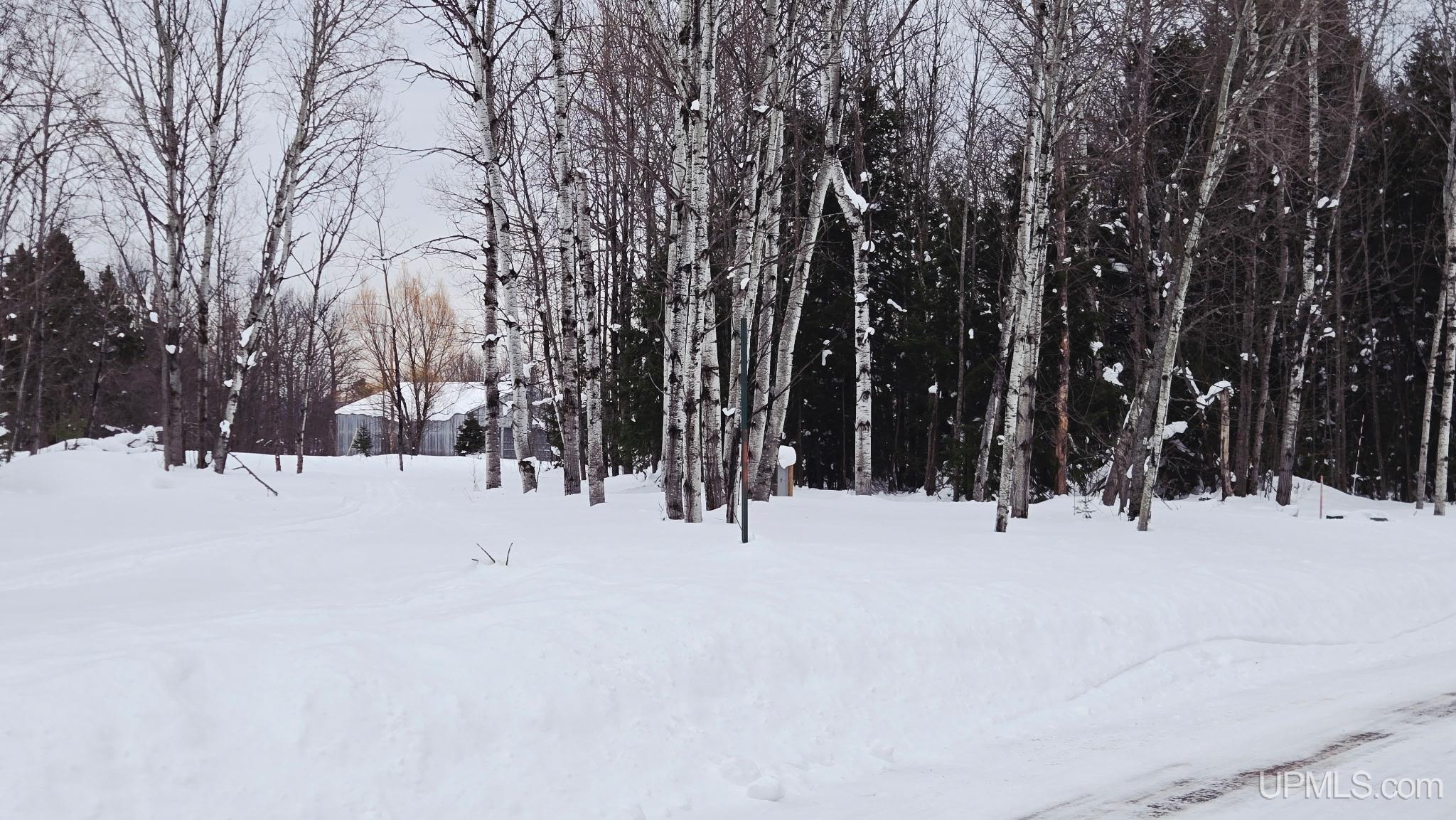 Homes for sale in White Pine, MI | Tbd Michigan Ave, White Pine, MI 49971 | MLS# 50199102