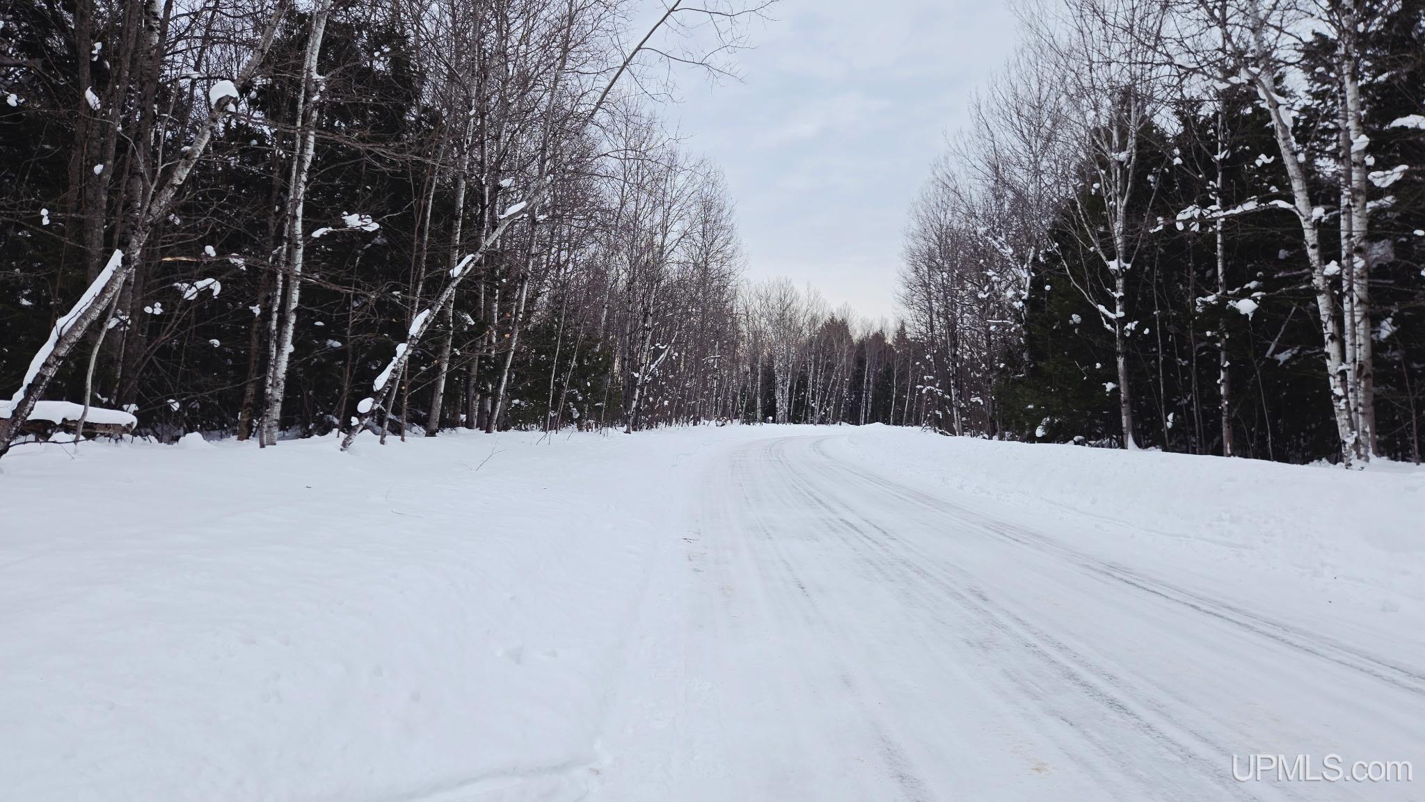 Homes for sale in White Pine, MI | Tbd Michigan Ave, White Pine, MI 49971 | MLS# 50199102