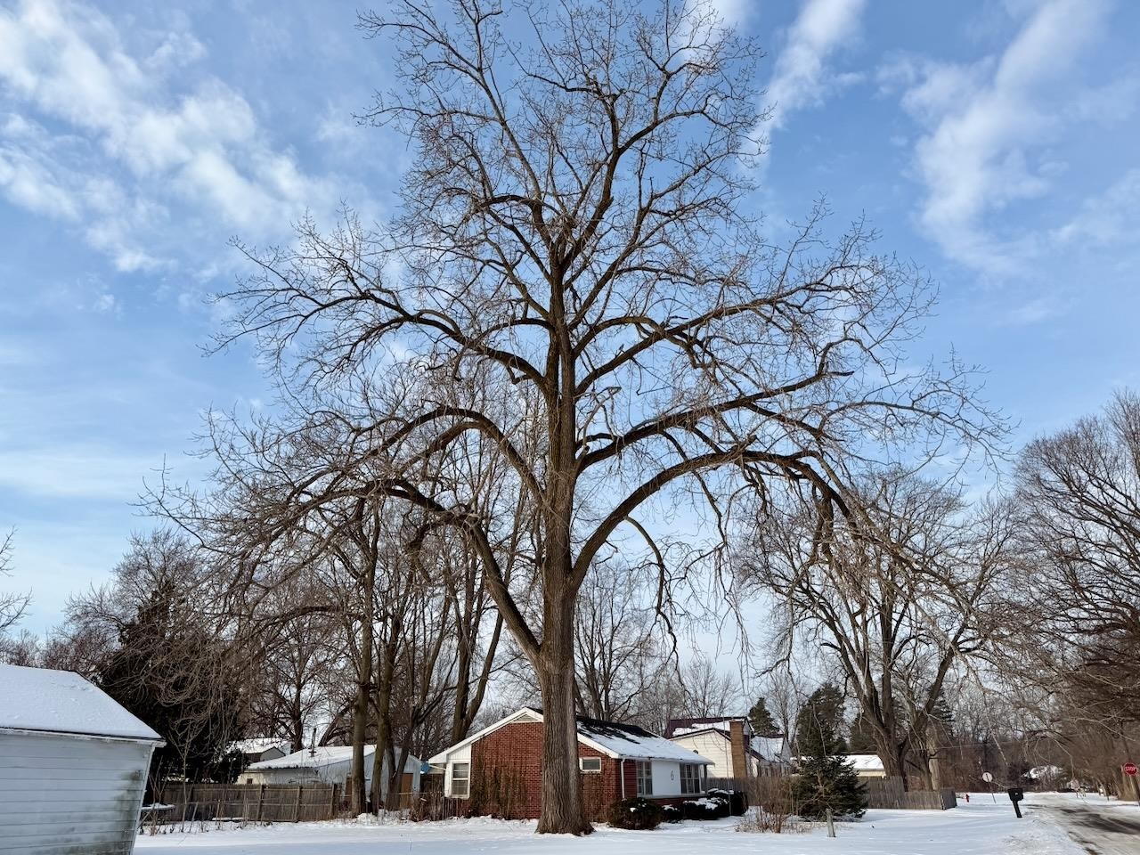 Homes for sale in Chesaning, MI | 527 N Line St, Chesaning, MI 48616 | MLS# 50199168