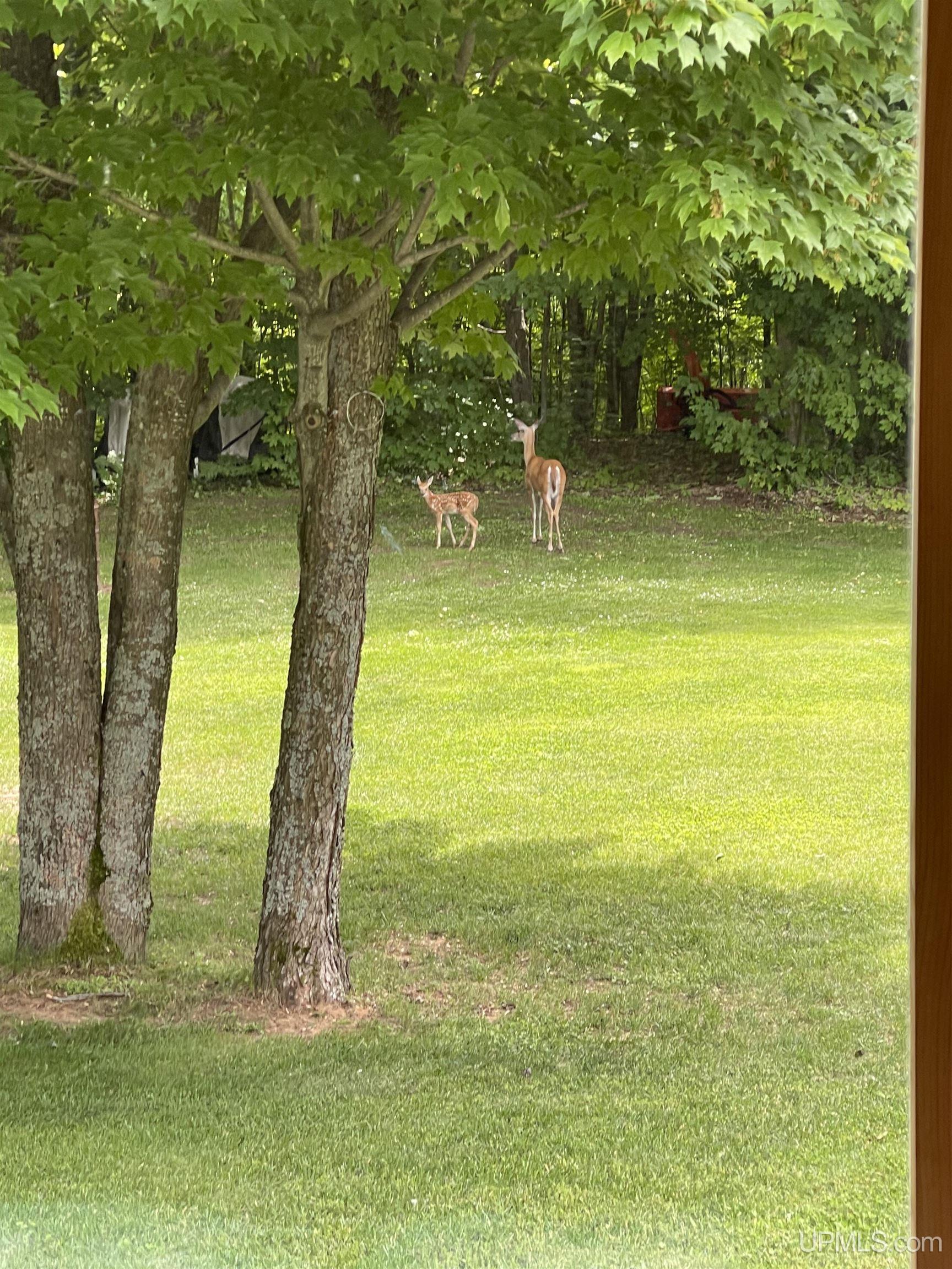 52275 N Superior Road, Houghton, MI, 49931