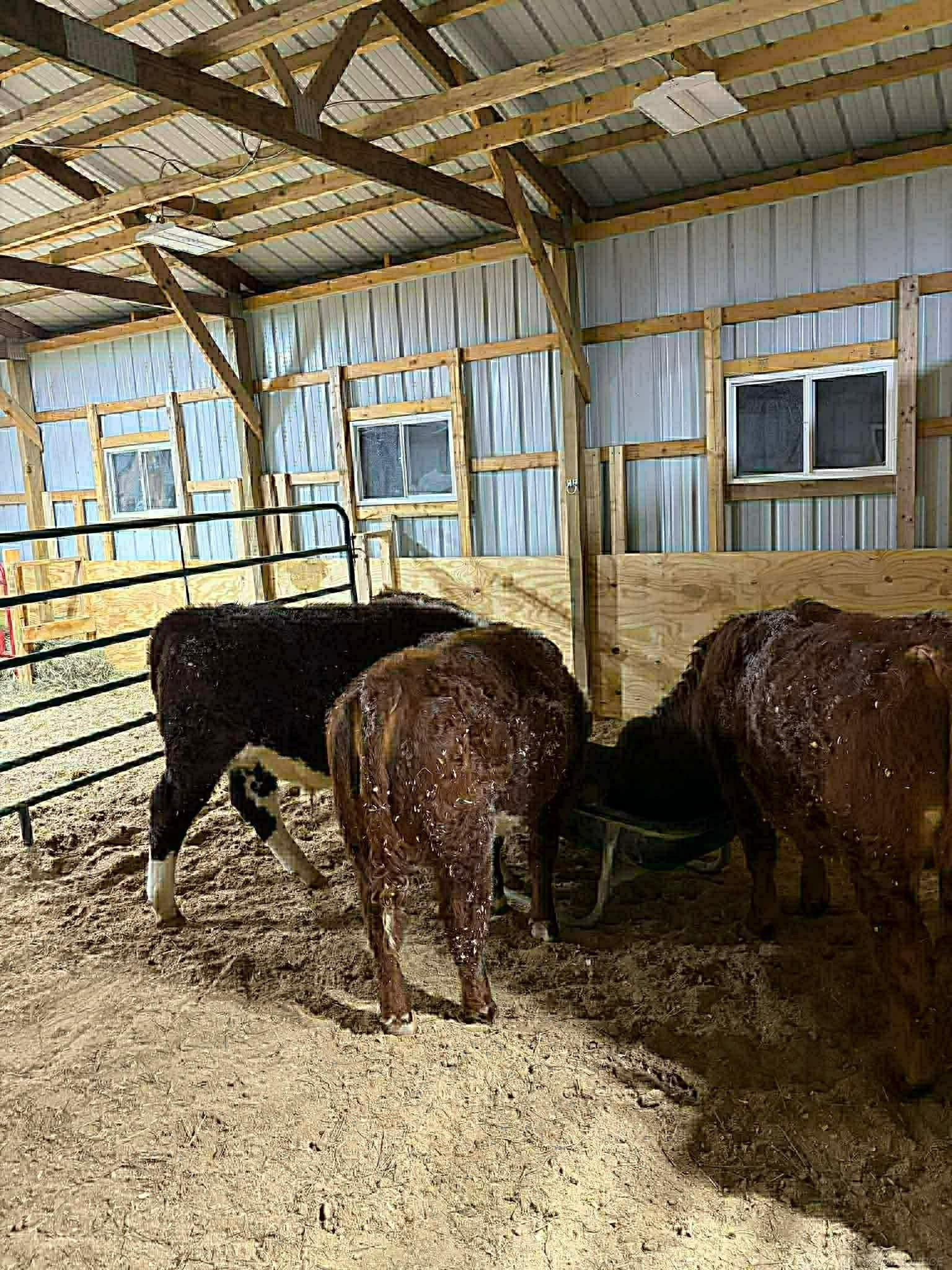 8020 Linden Drive, Almont, MI, 48003