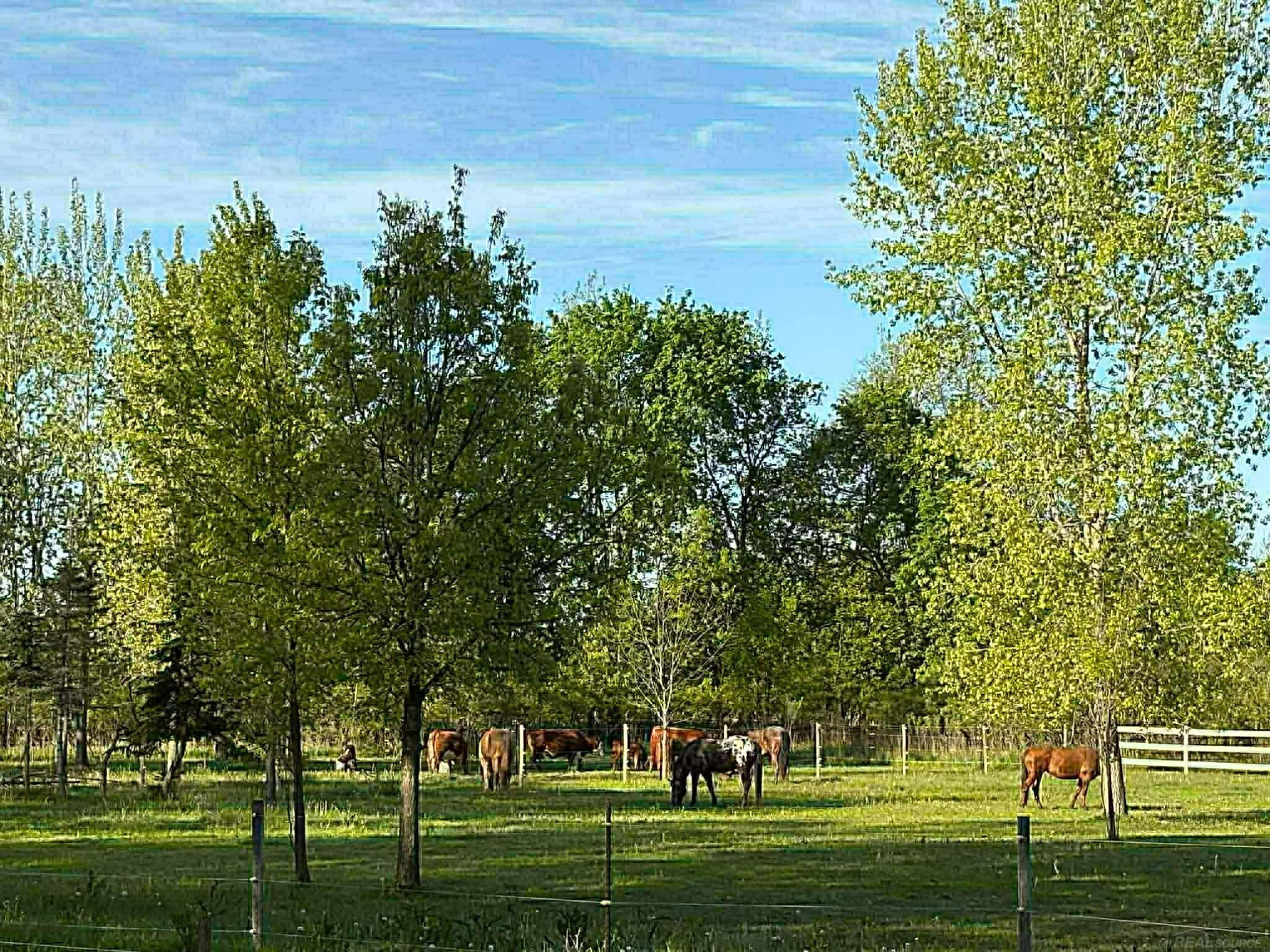 8020 Linden Drive, Almont, MI, 48003