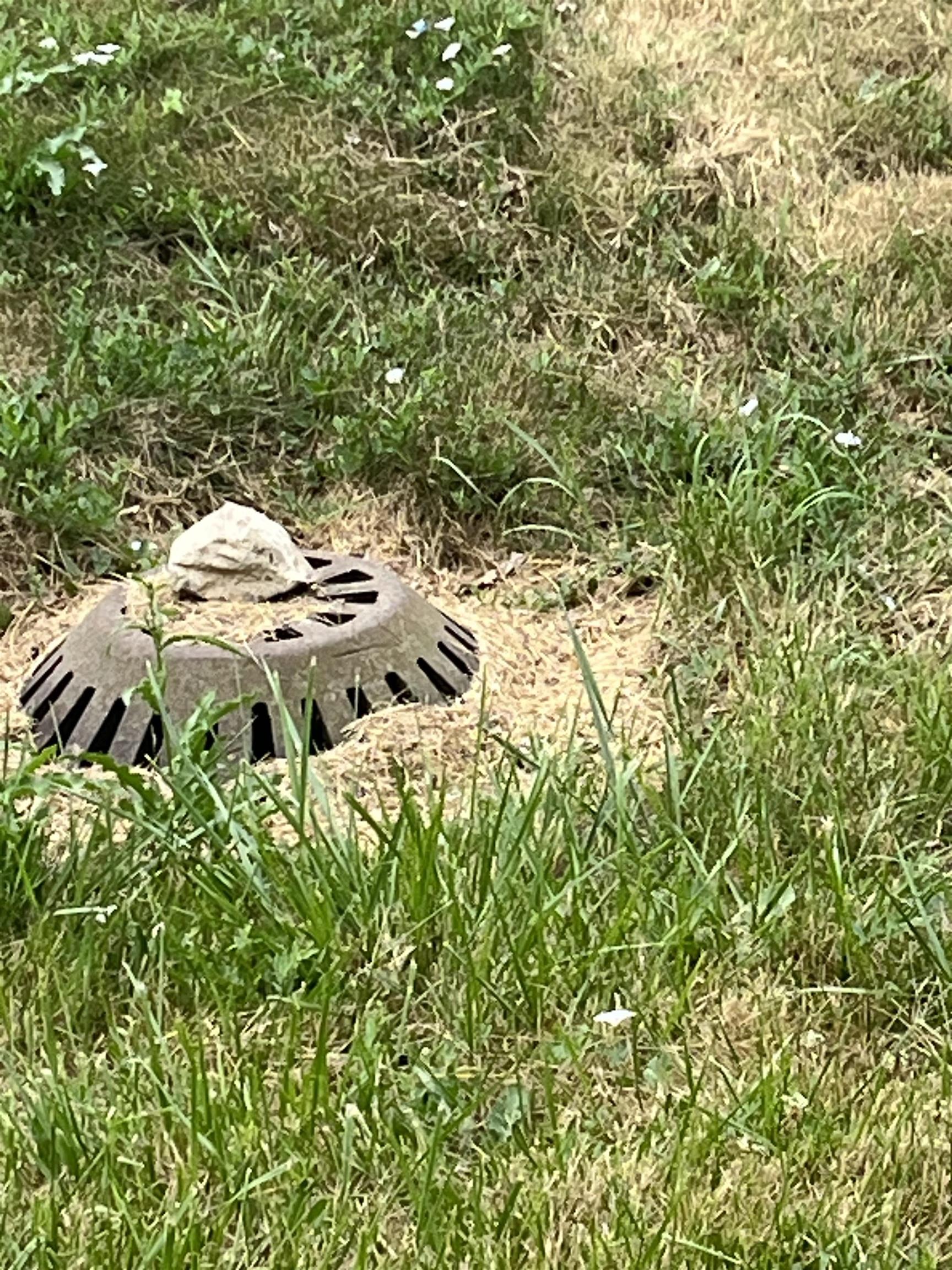 Homes for sale in Saint Charles, MI | Vl Maple St, Saint Charles, MI 48655 | MLS# 50199322