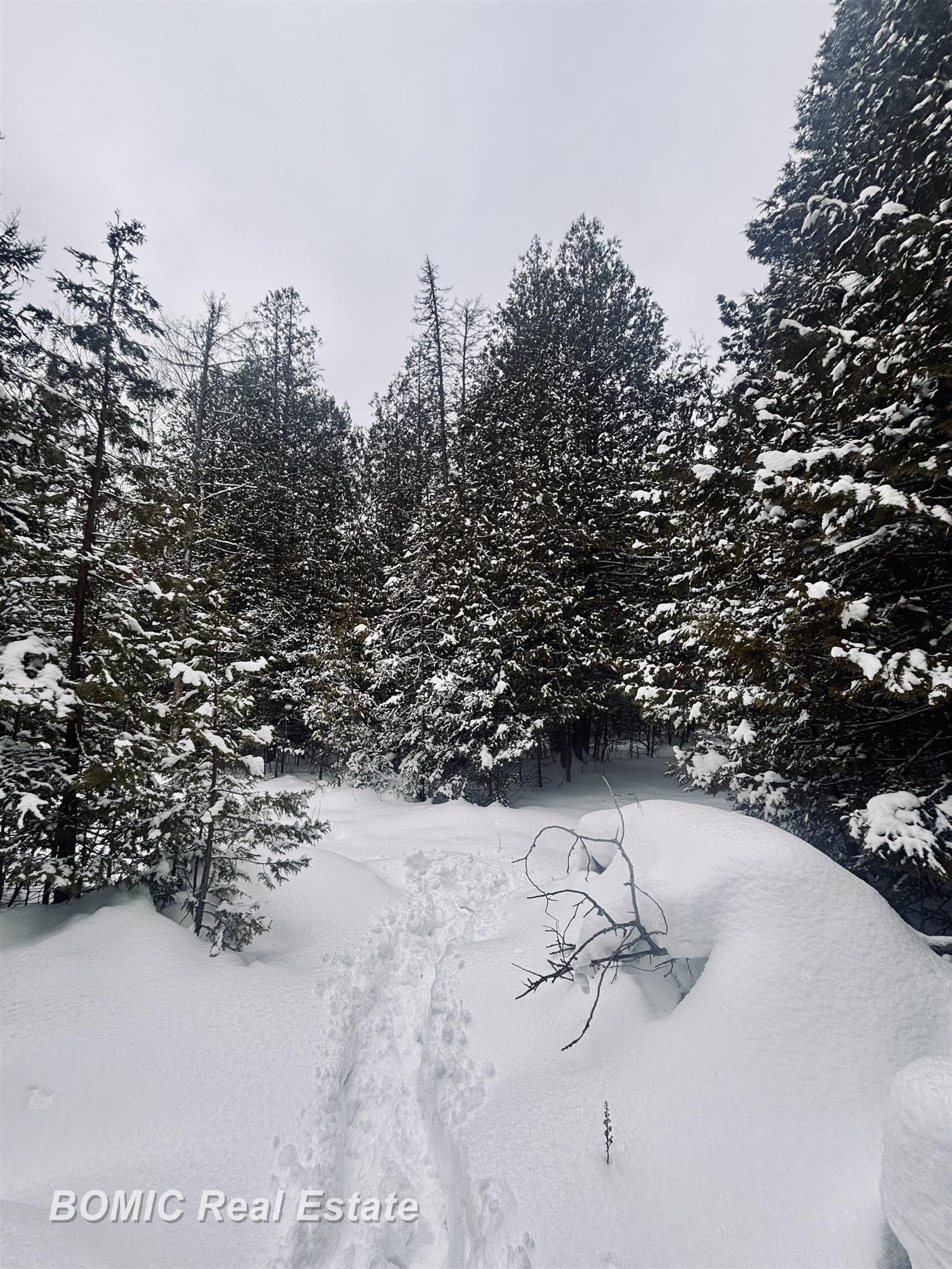 Homes for sale in De Tour Village, MI | 20130 E N Caribou Lake Rd, De Tour Village, MI 49725 | MLS# 50199383