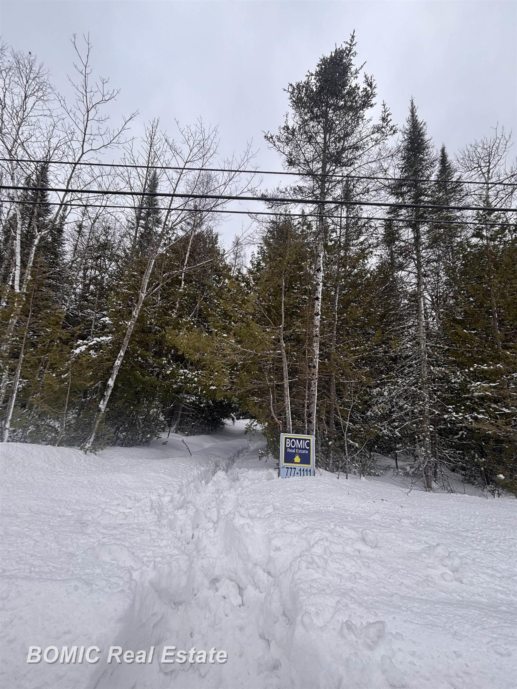 20130 E N Caribou Lake Road, Detour Village, MI, 49725