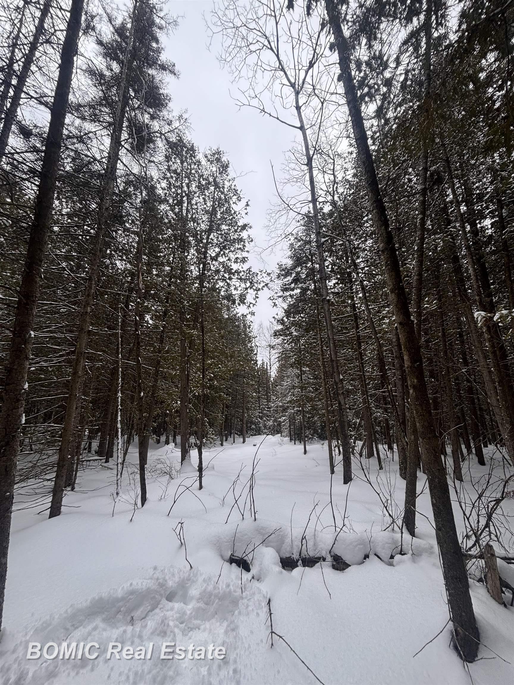 20130 E N Caribou Lake Road, Detour Village, MI, 49725