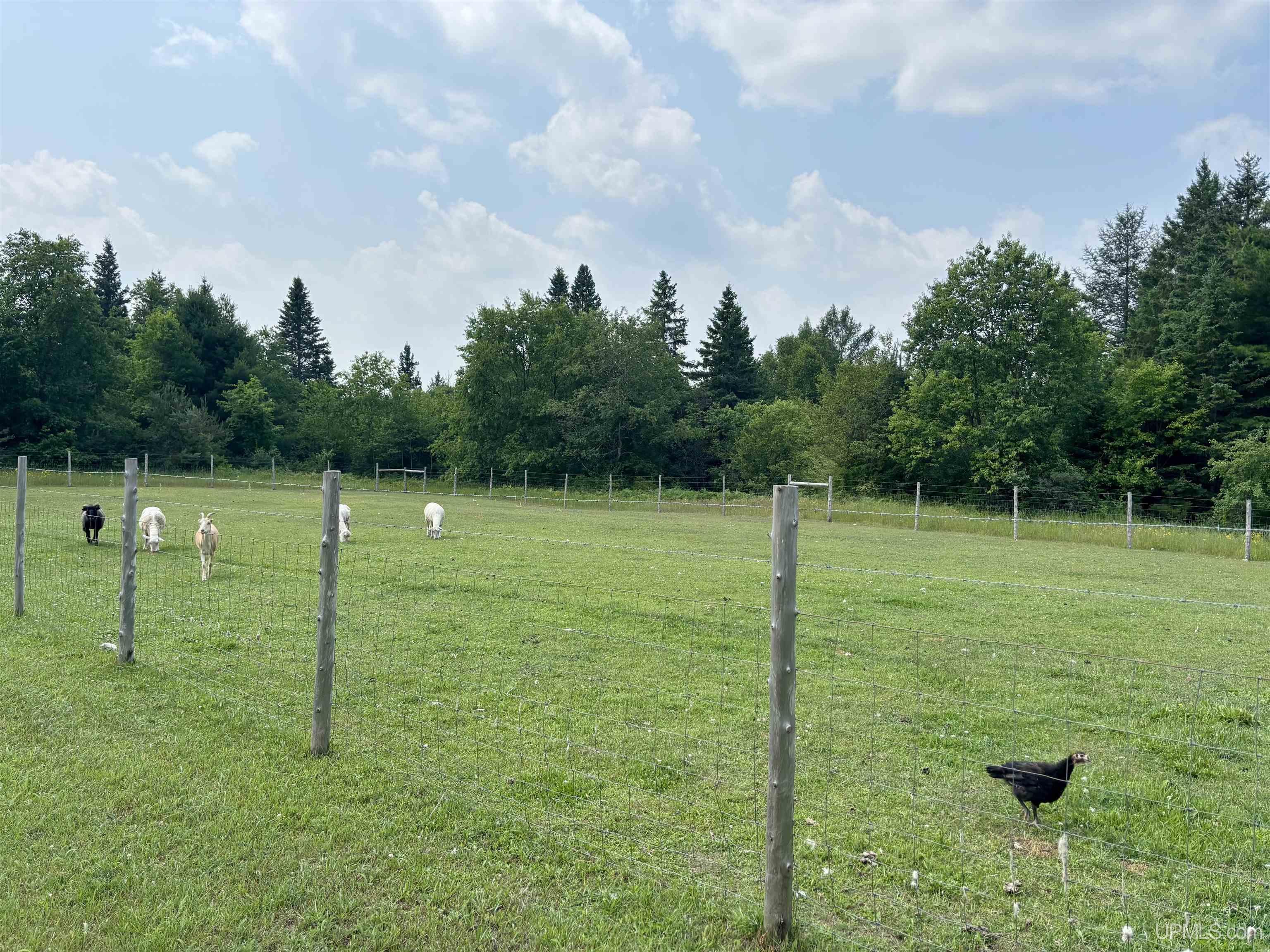 6211 County Road 441 Road, Newberry, MI, 49868