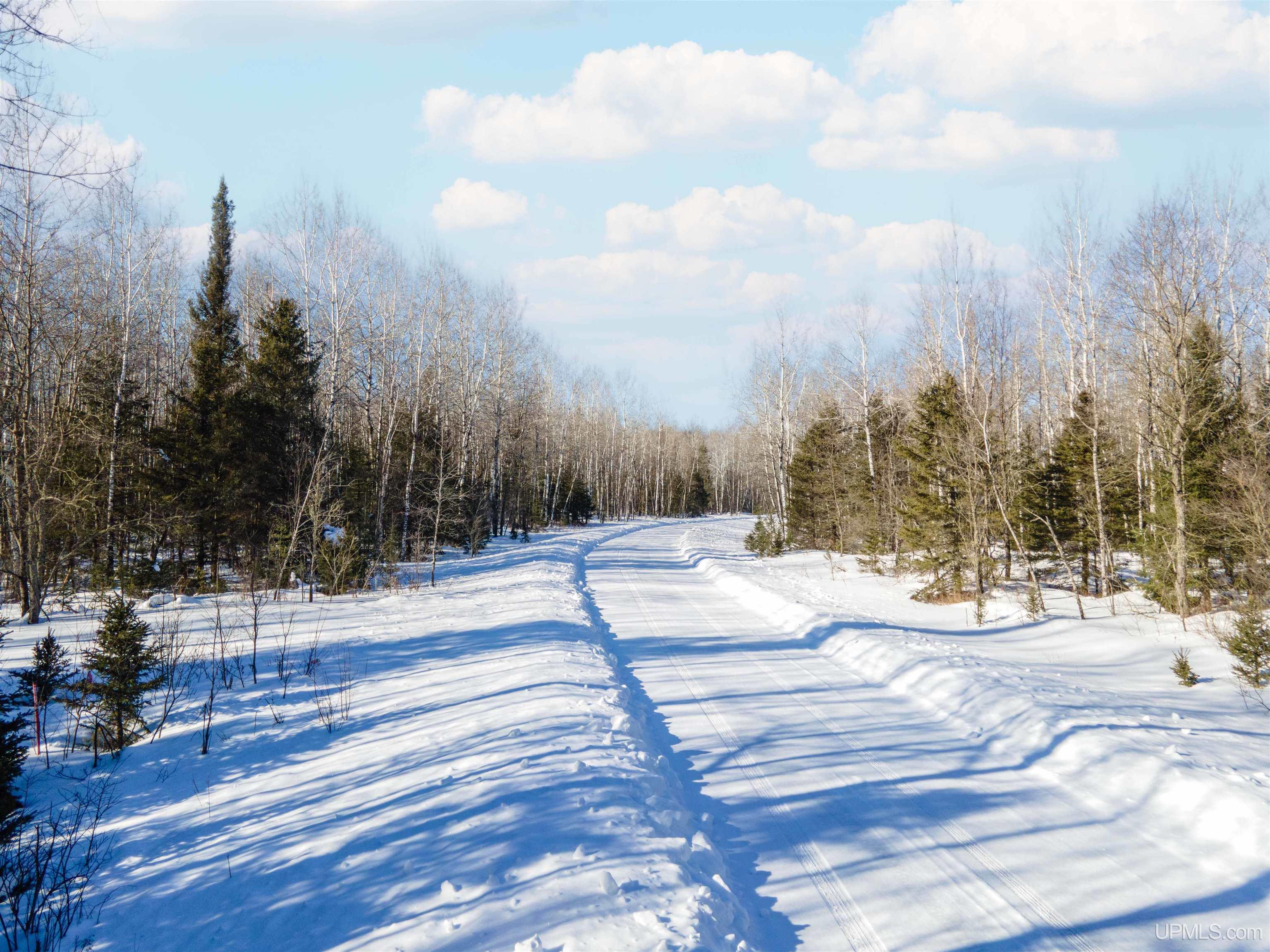 Photo of property for sale at Lot 30 River Country Road, Iron River MI 49935