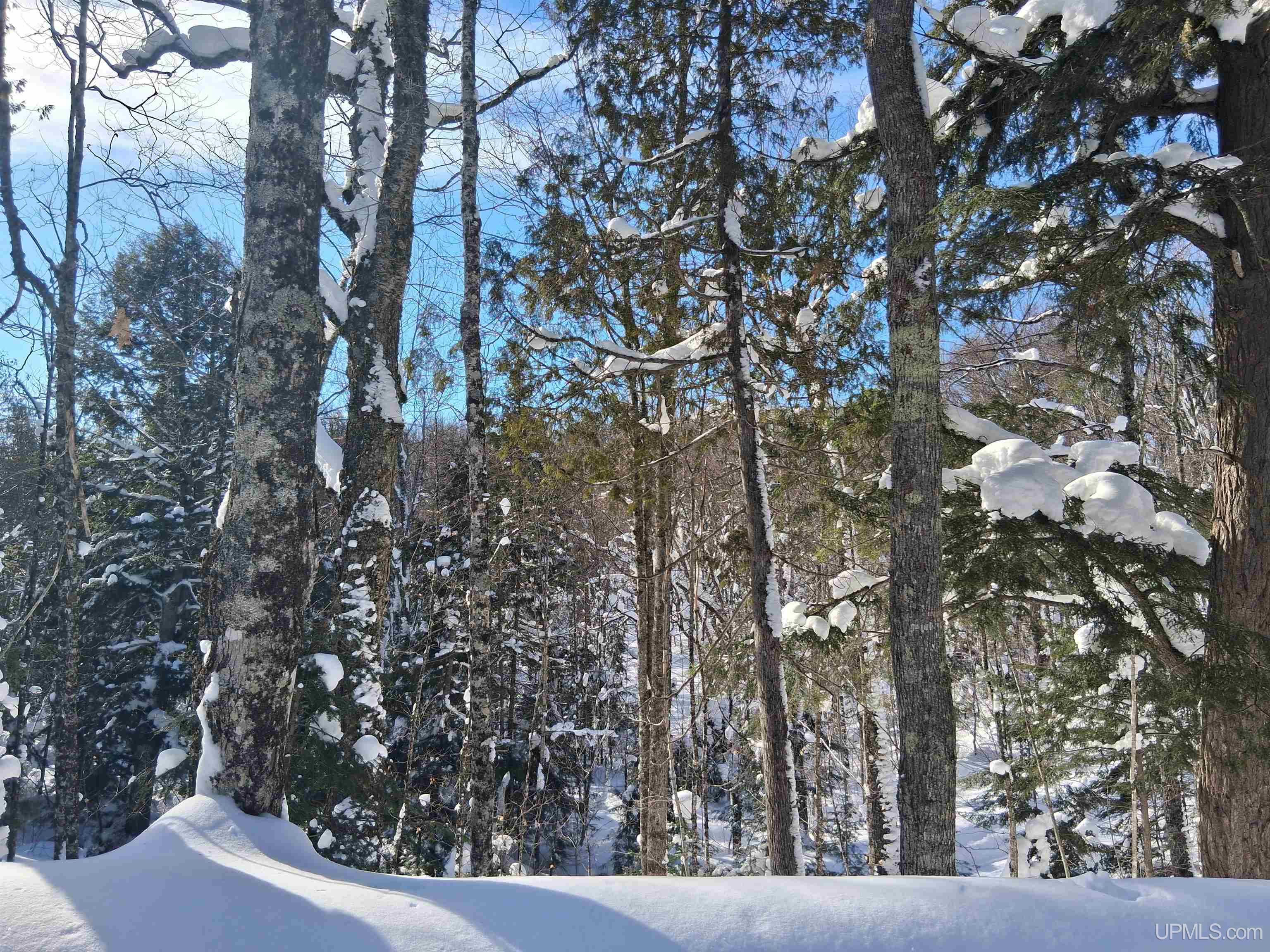 Homes for sale in Michigamme, MI | Lot 7 Fence Lake Rd, Michigamme, MI 49861 | MLS# 50199411