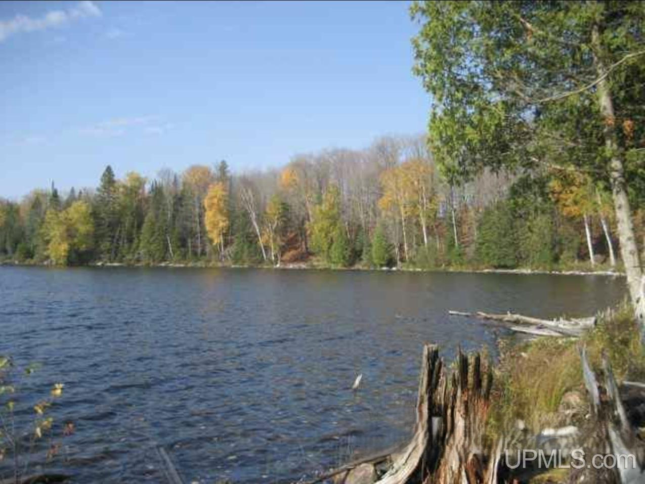 Homes for sale in Michigamme, MI | Lot 7 Fence Lake Rd, Michigamme, MI 49861 | MLS# 50199411