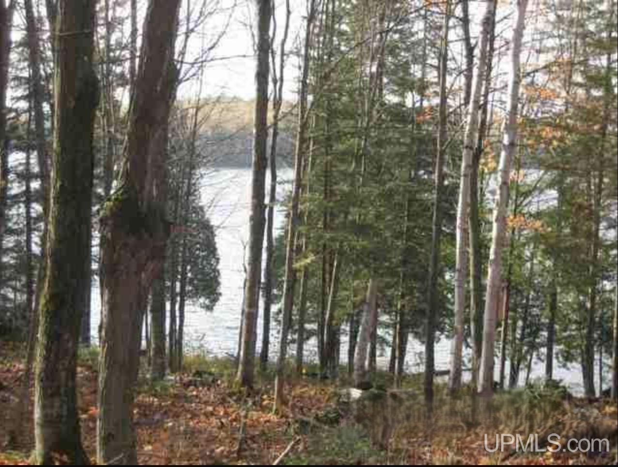 Homes for sale in Michigamme, MI | Lot 7 Fence Lake Rd, Michigamme, MI 49861 | MLS# 50199411